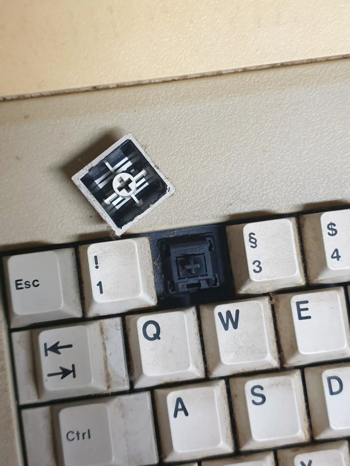 G80-0458/f