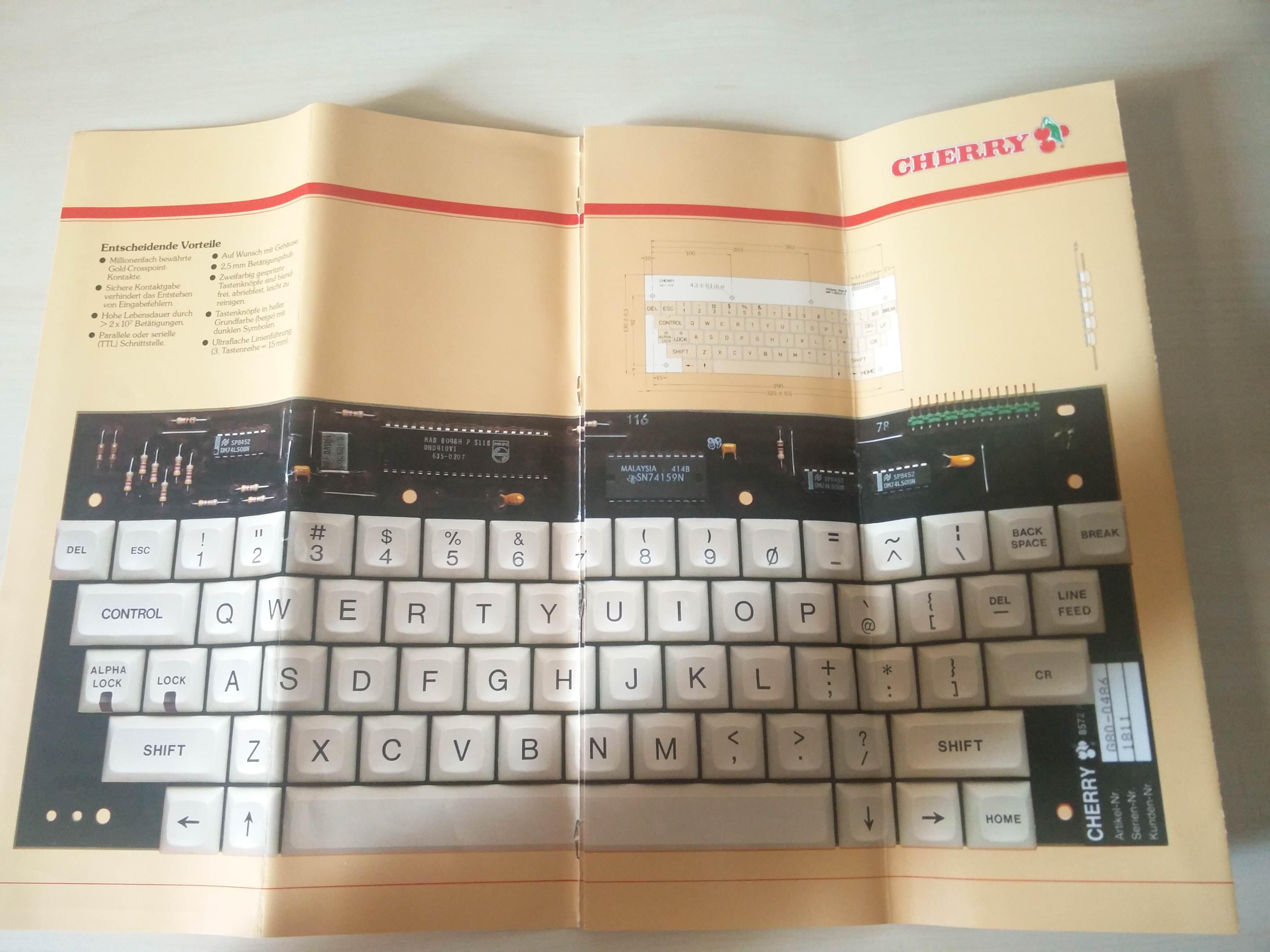 G80-0486/1