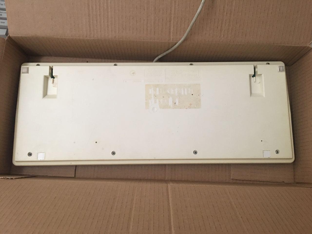 G80-0581 (NCR)