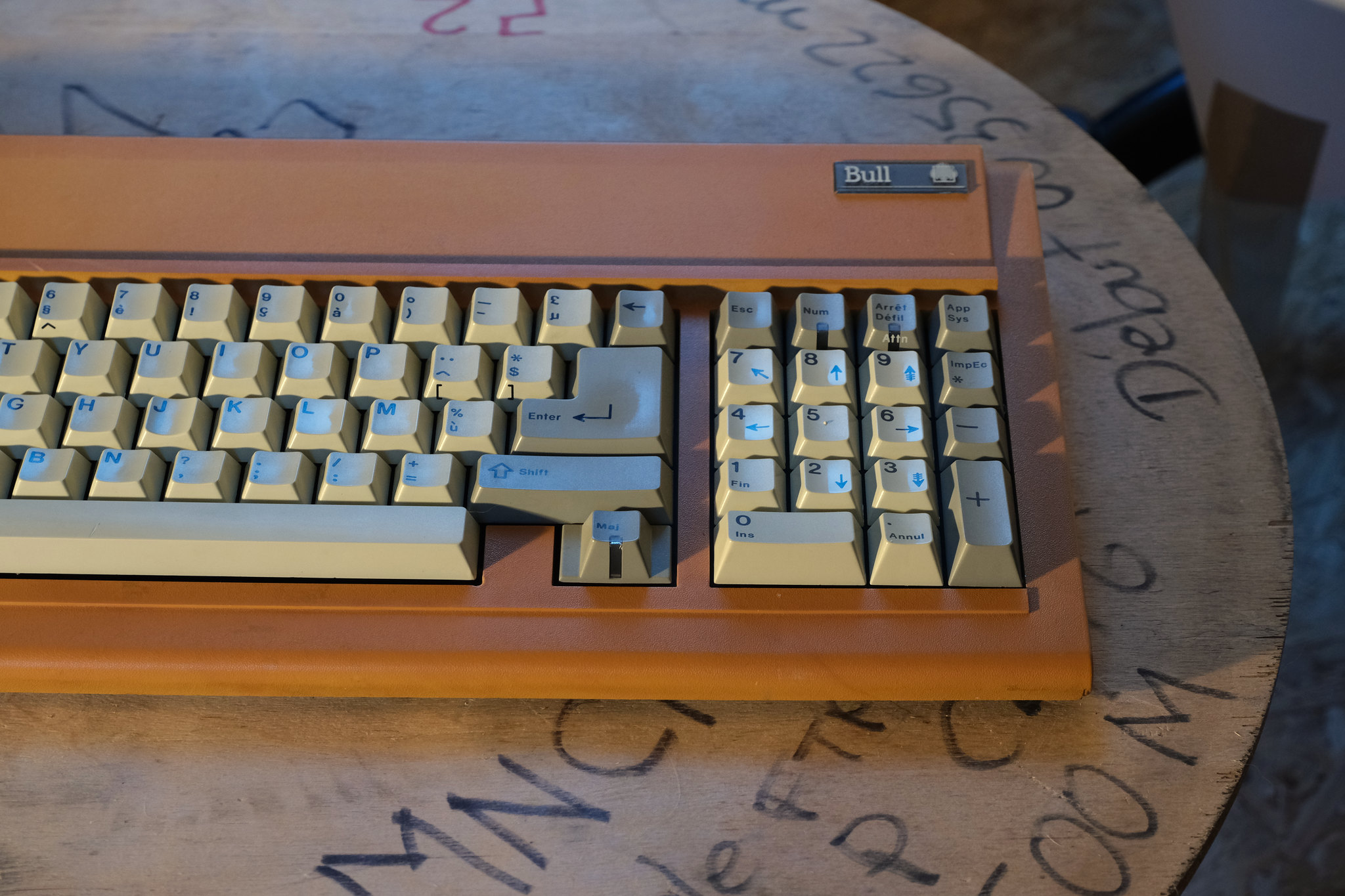 G80-0601 (Bull)