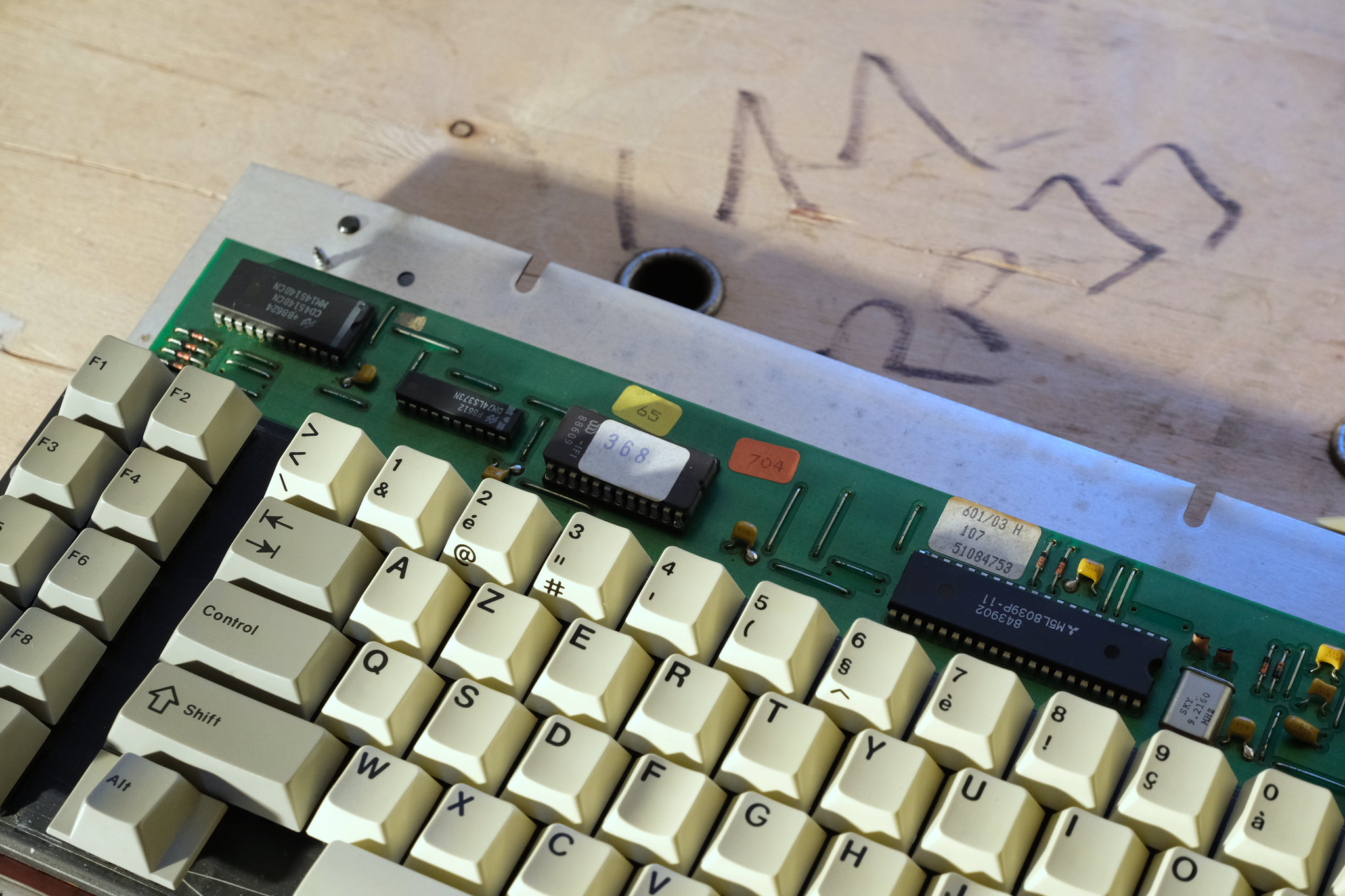 G80-0601 (Bull)