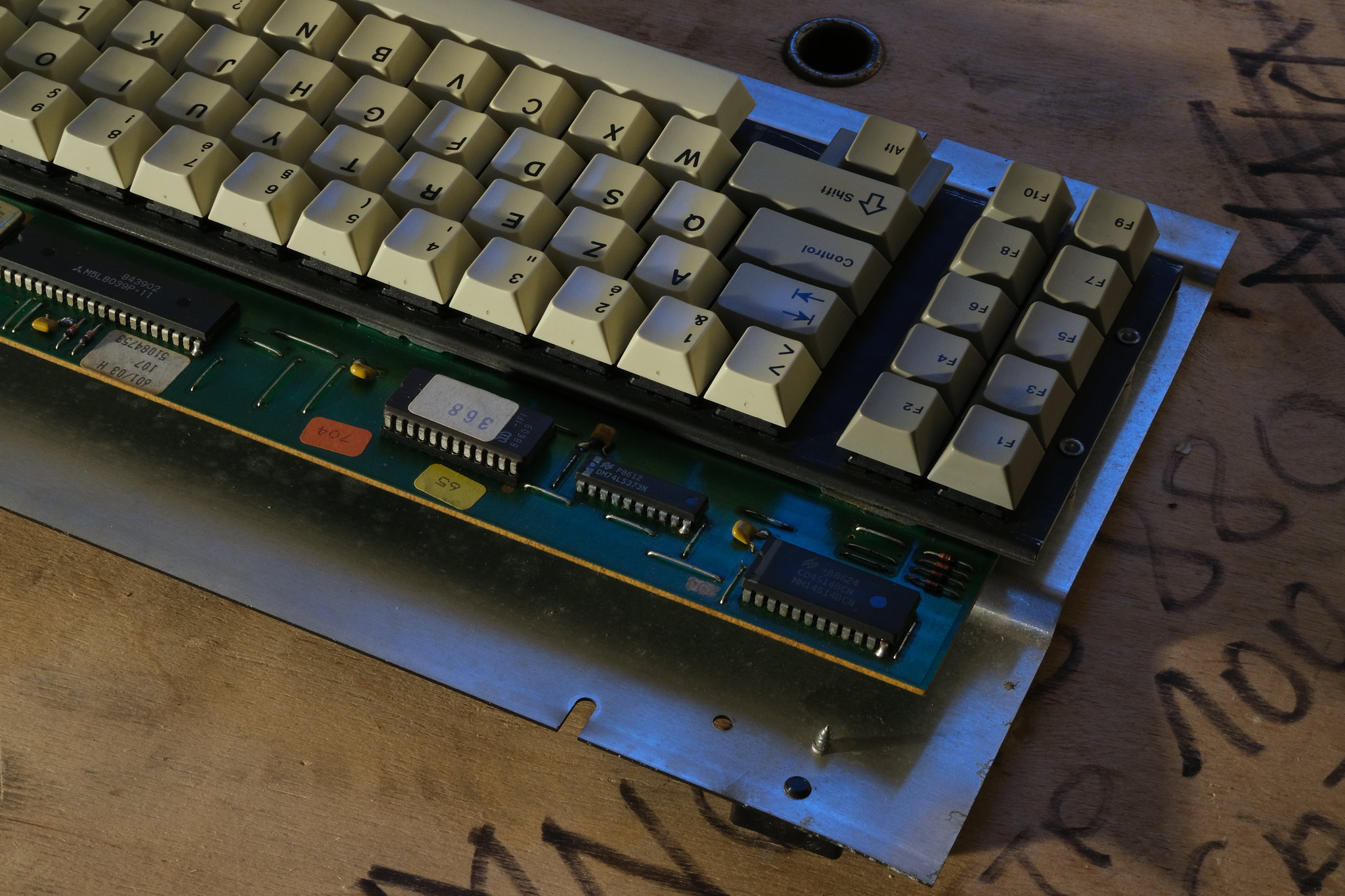 G80-0601 (Bull)