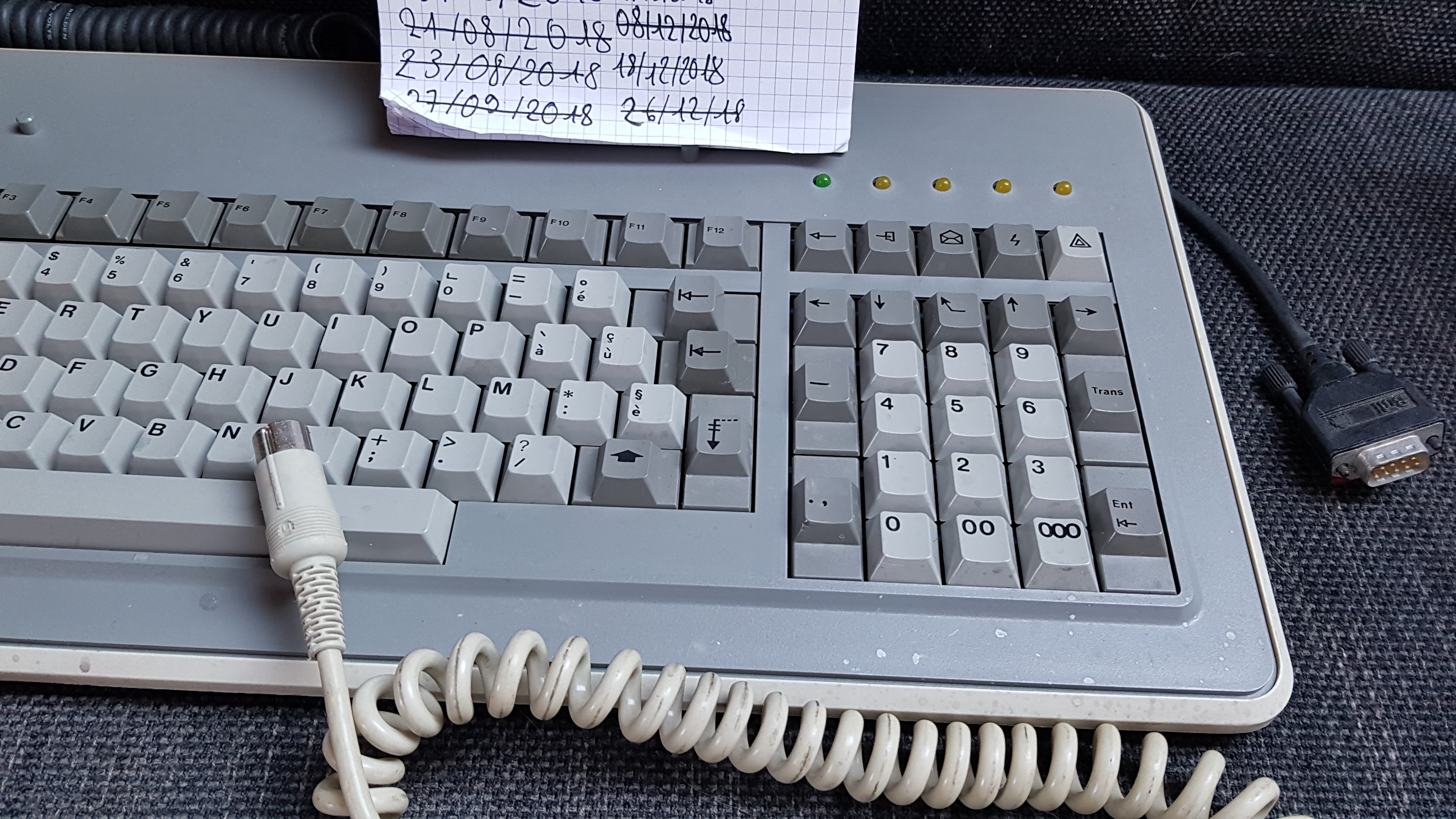 G80-0606 (Bull)