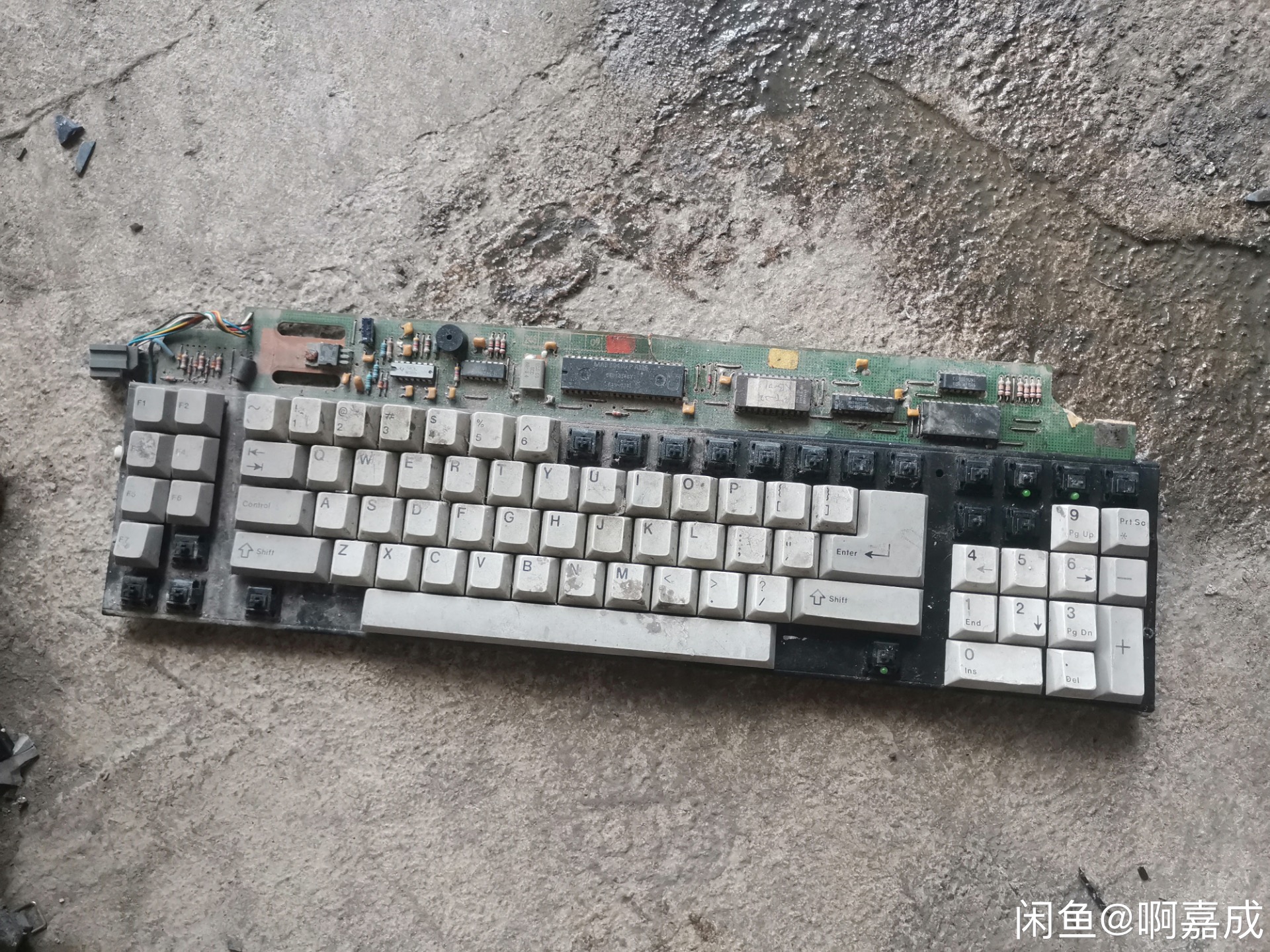 G80-0647/d (ADC)