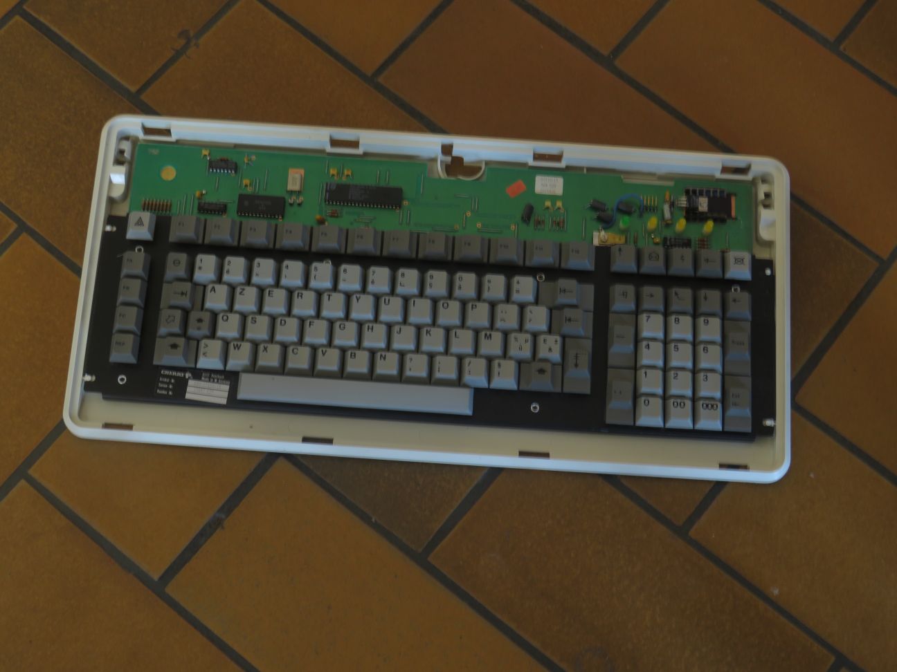 G80-0711 (Bull)