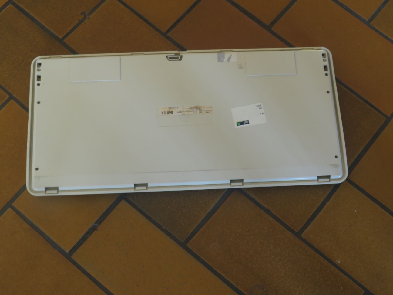 G80-0711 (Bull)