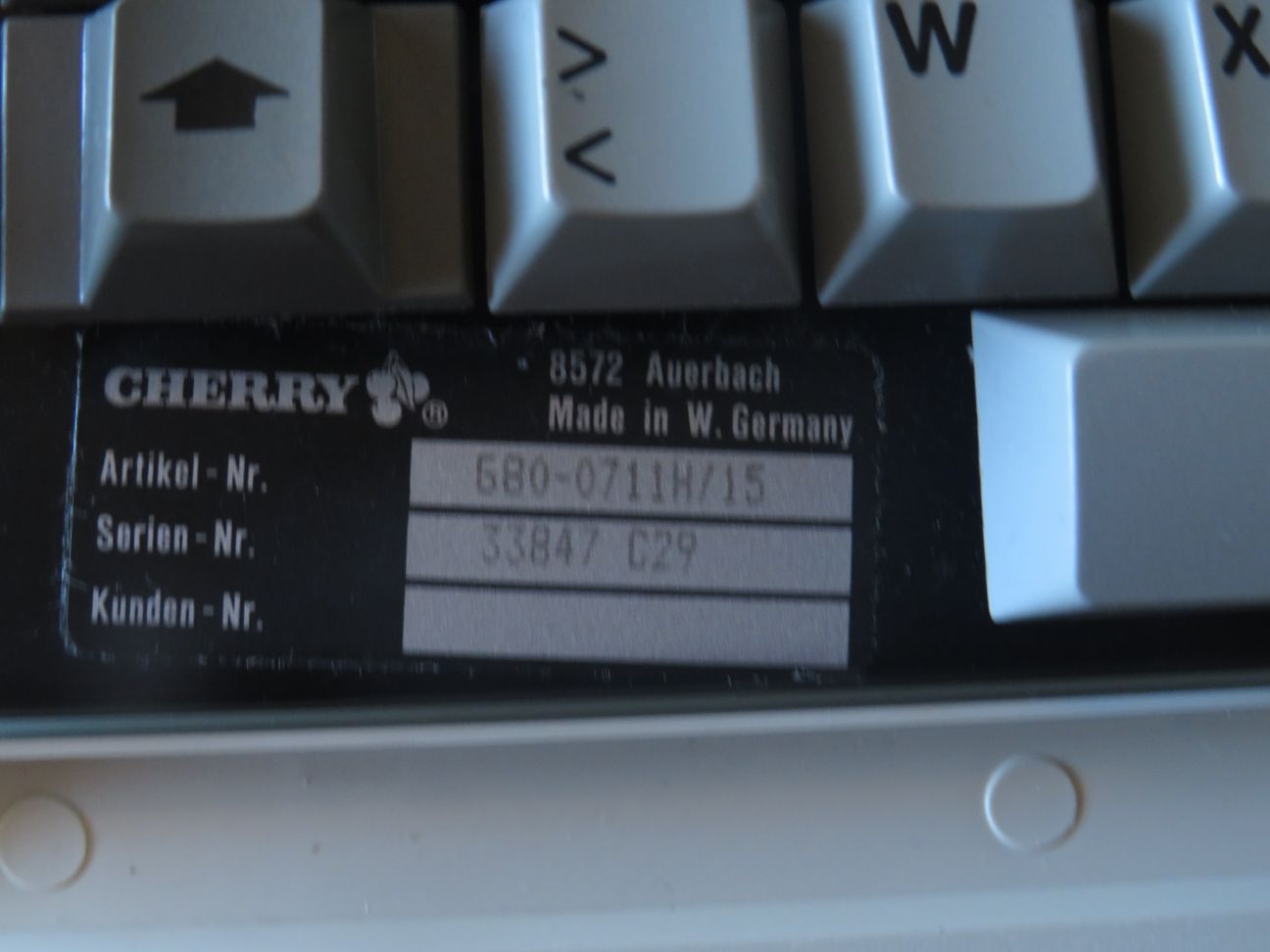 G80-0711 (Bull)