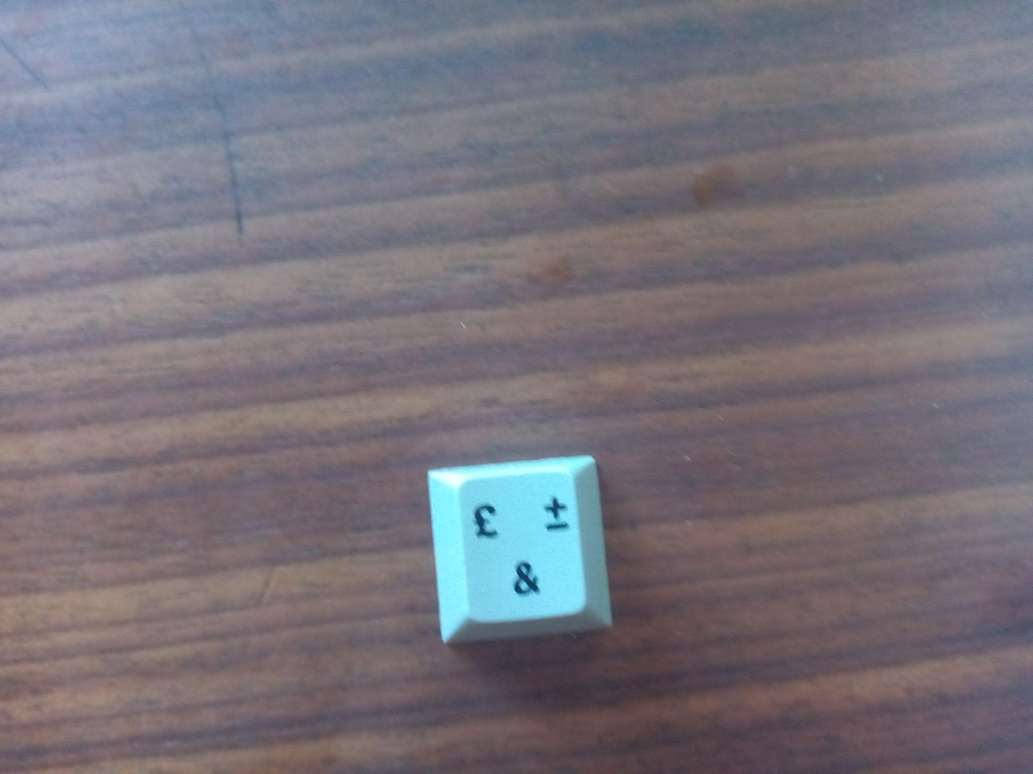 G80-0711 (Bull)