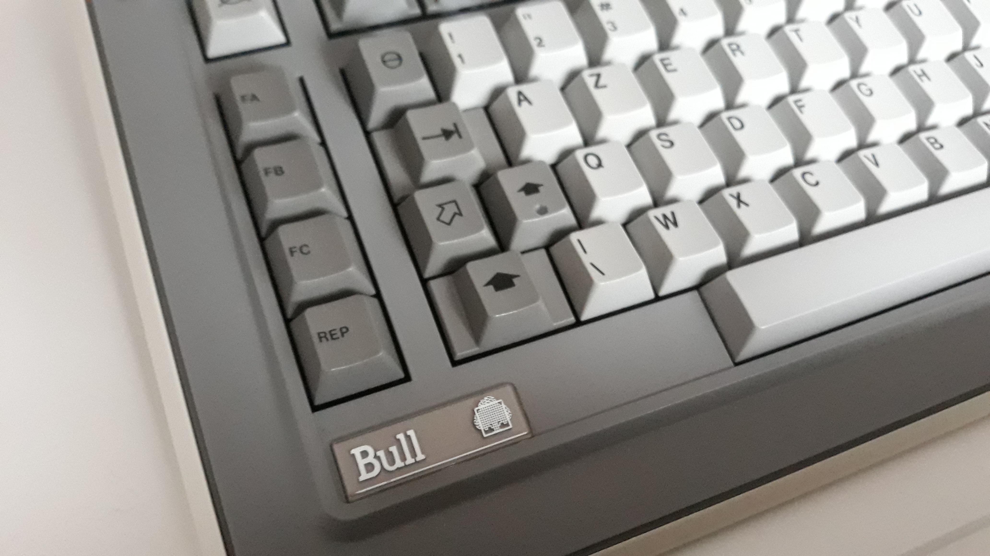 G80-0724 (Bull)