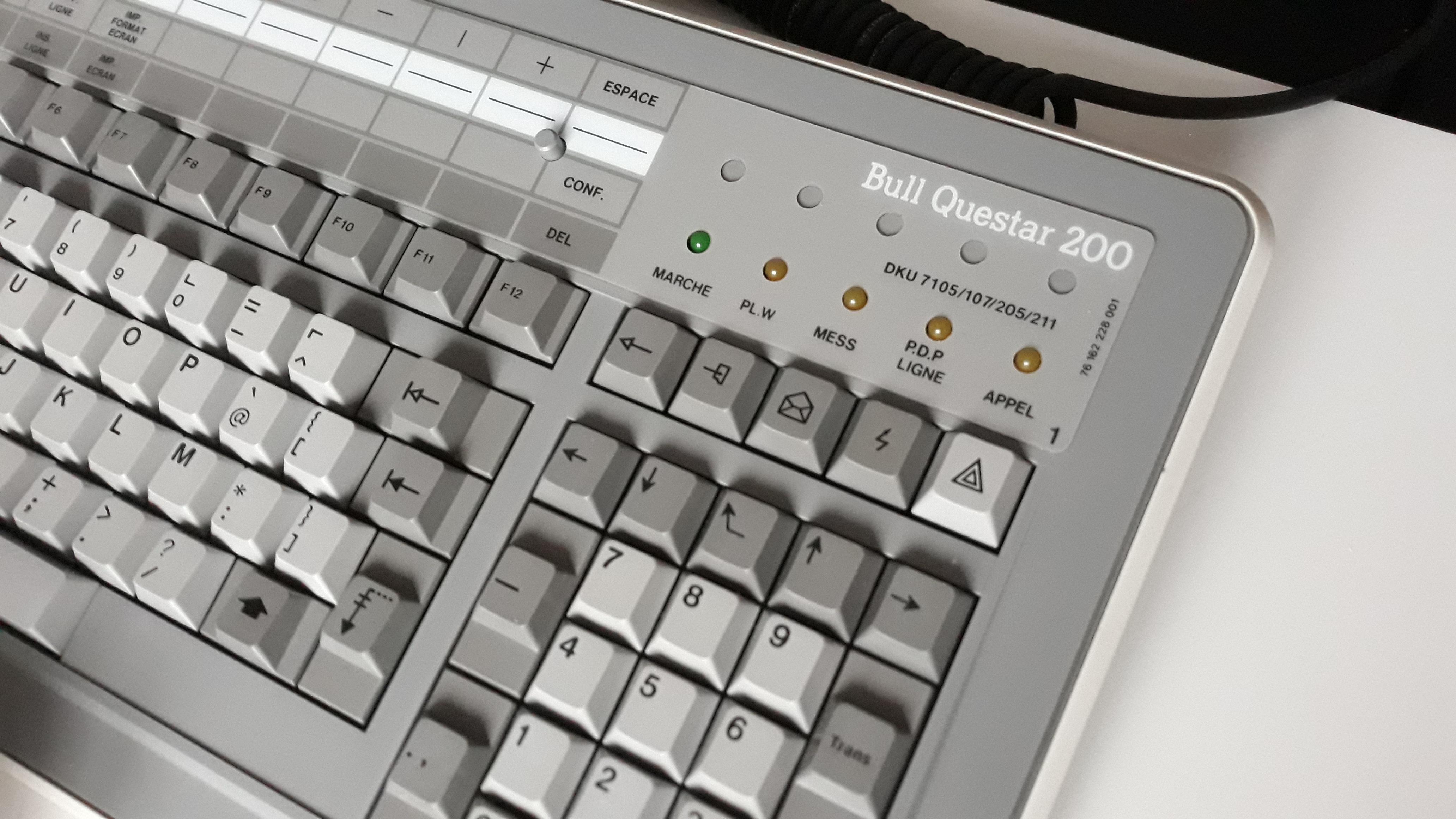 G80-0724 (Bull)