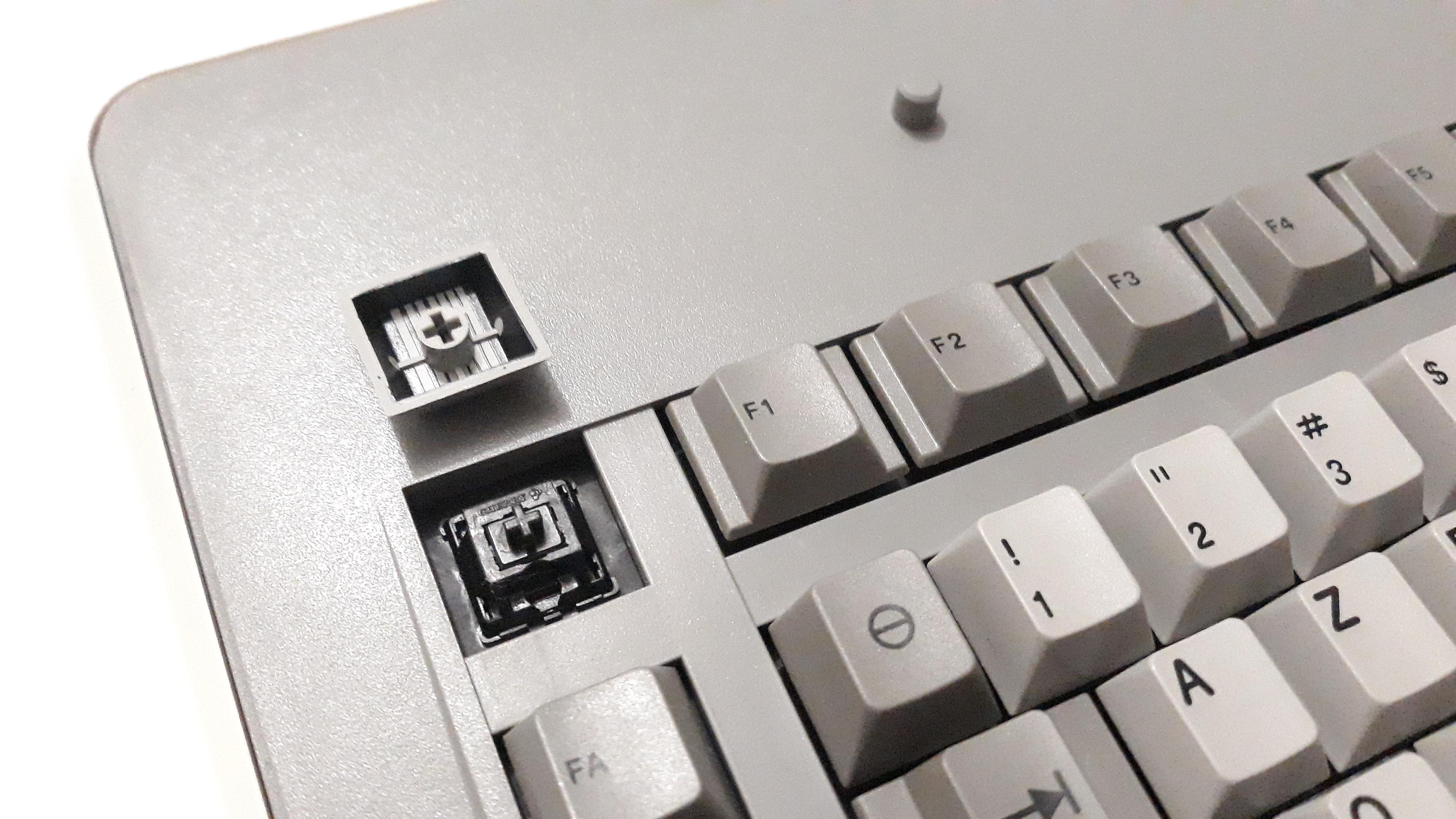 G80-0724 (Bull)