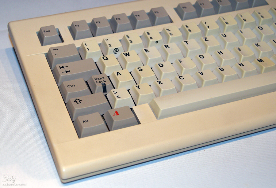 G80-0904