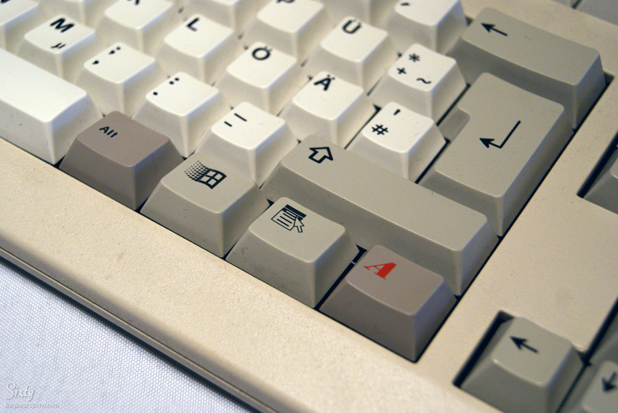 G80-0904