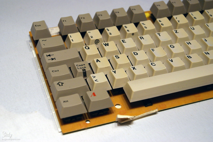 G80-0904