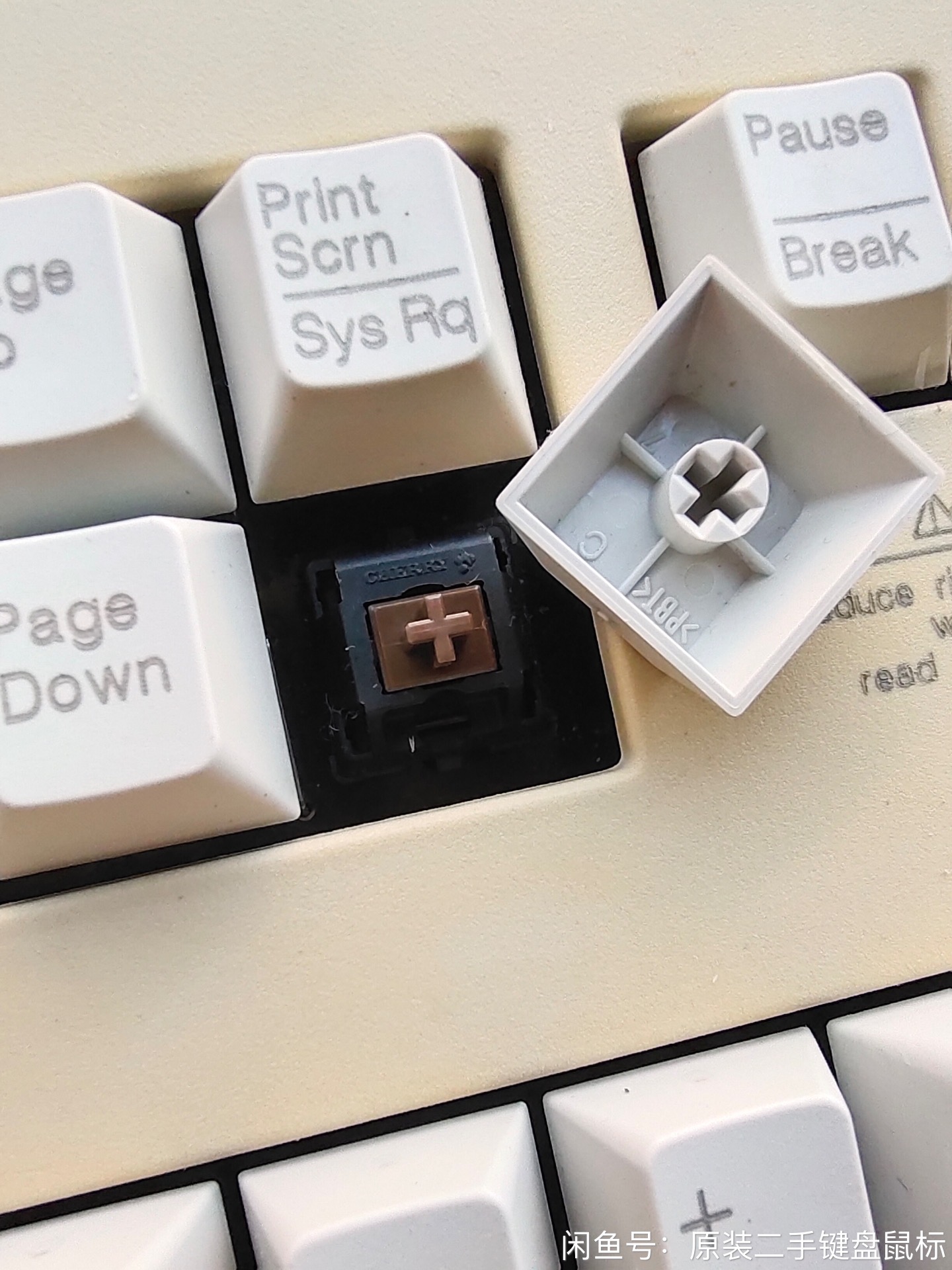 G80-11802 LPAUS