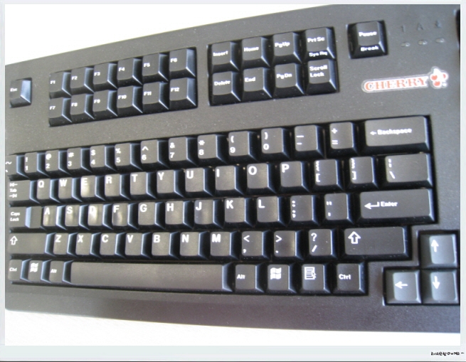 G80-11900 HRMUS