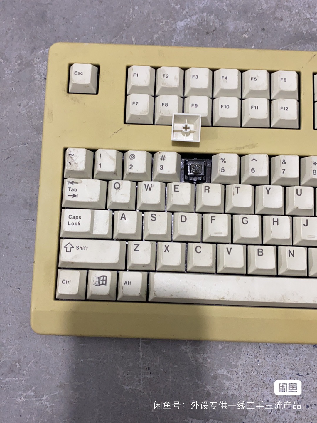 G80-11901 LPMUS