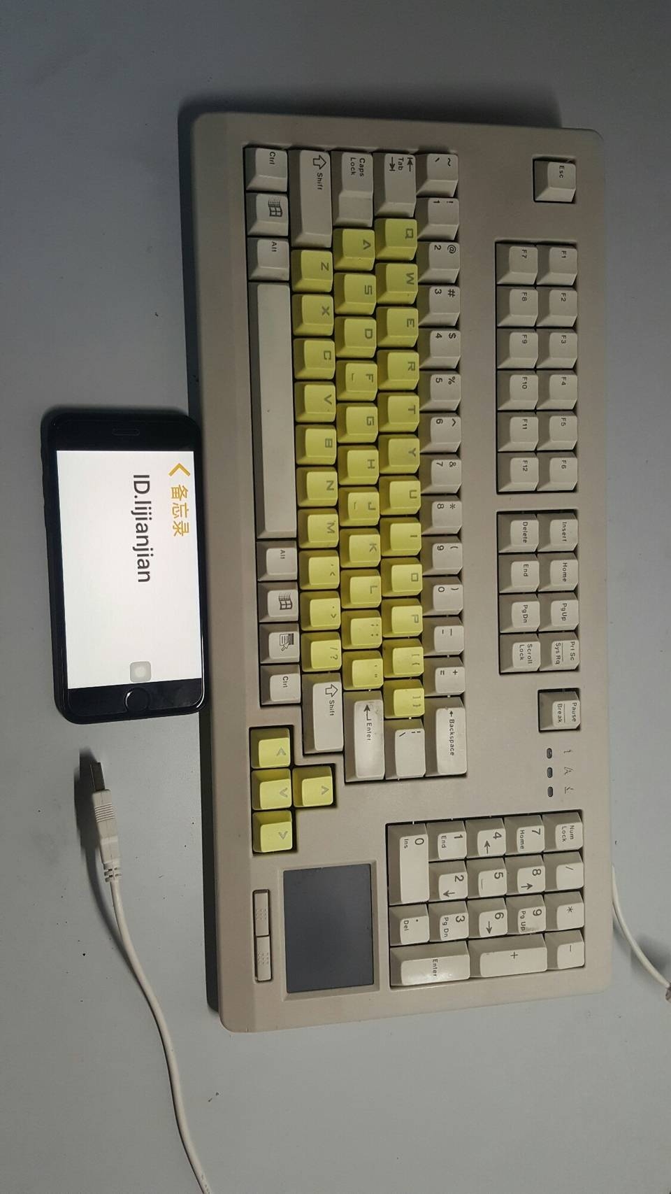 G80-11901 LSMUS