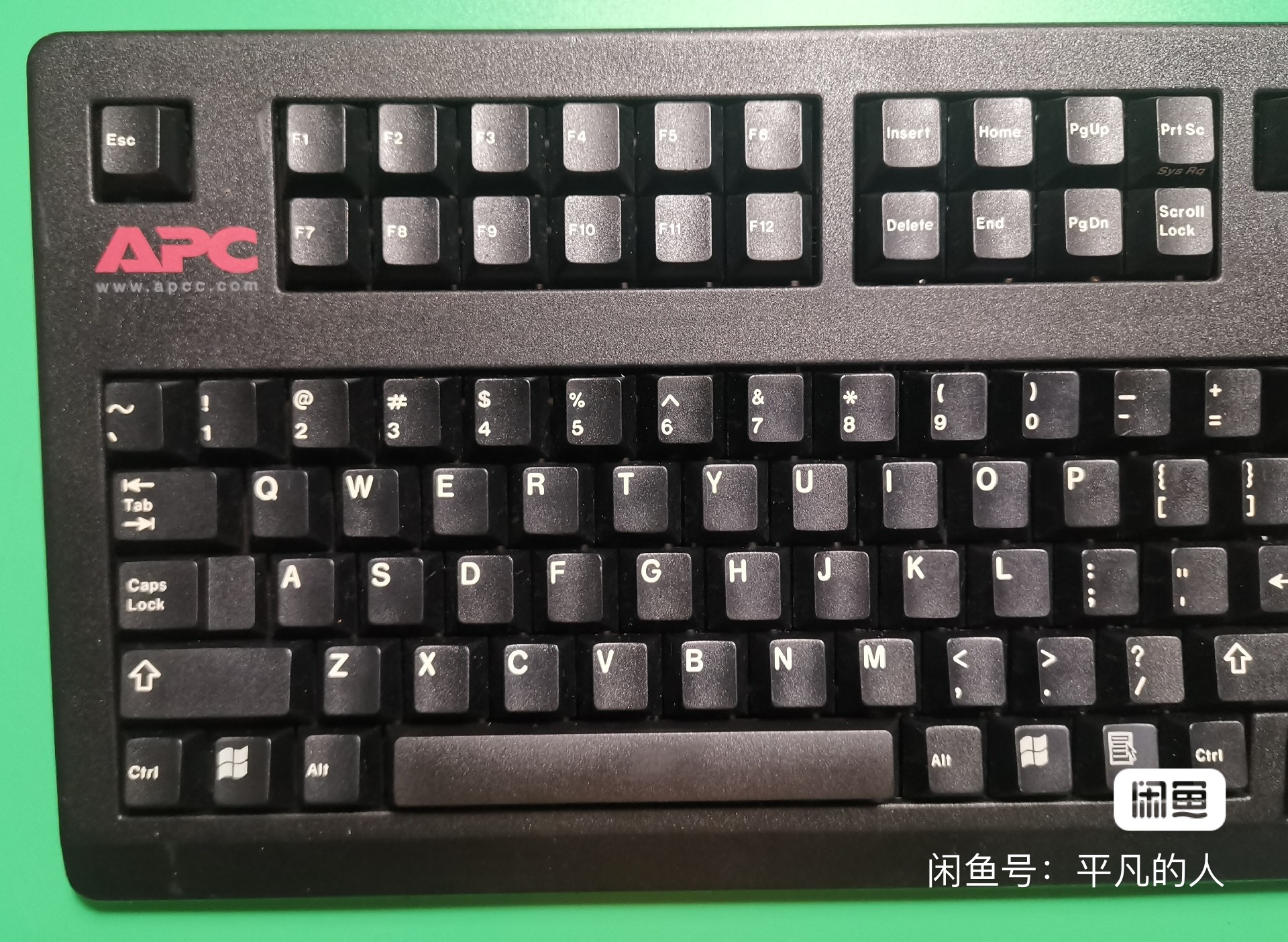 G80-11903 HRMUS