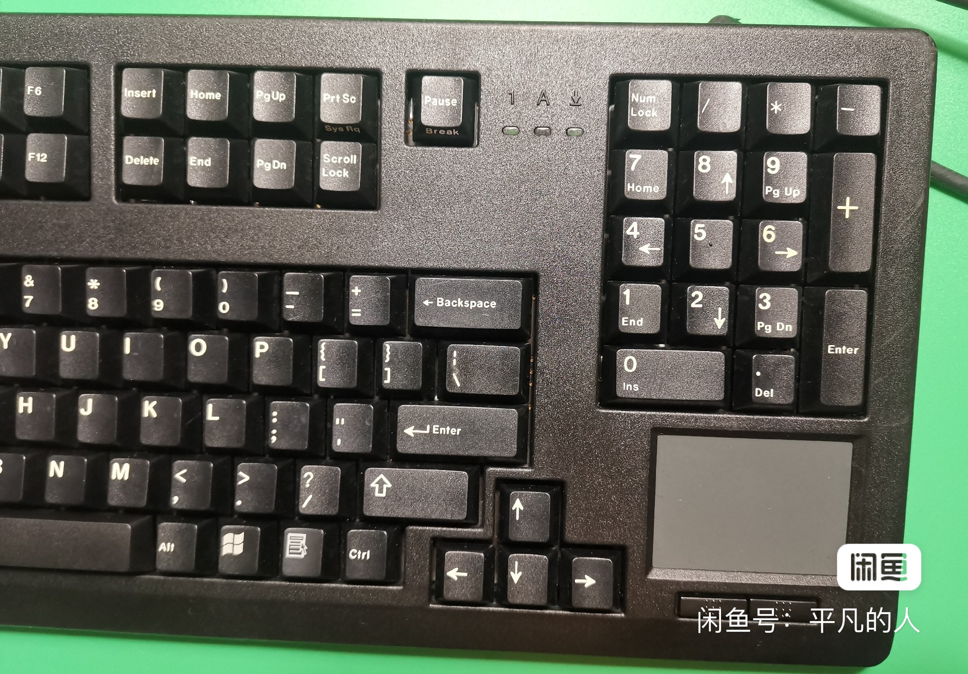 G80-11903 HRMUS