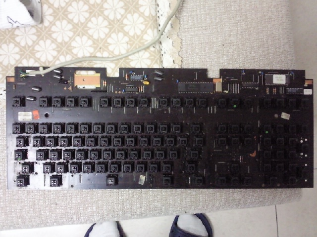 G80-1207 HAU