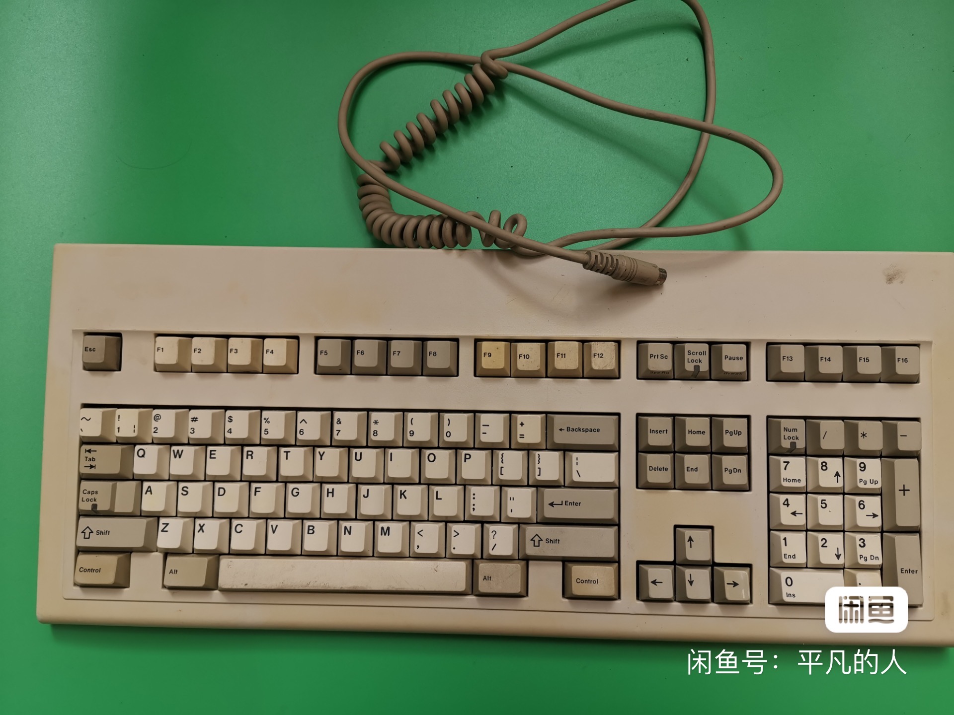 G80-1207 HAU