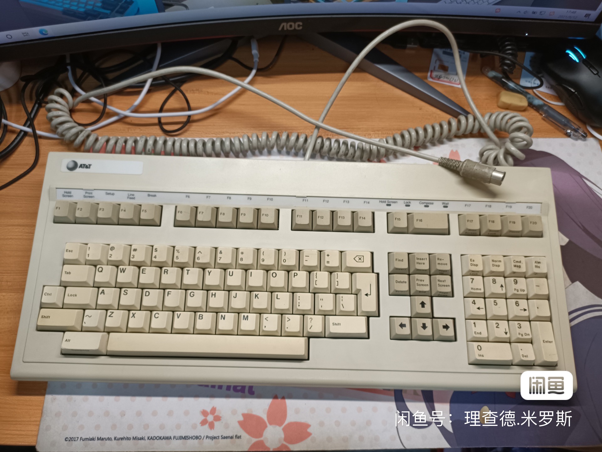 G80-1309
