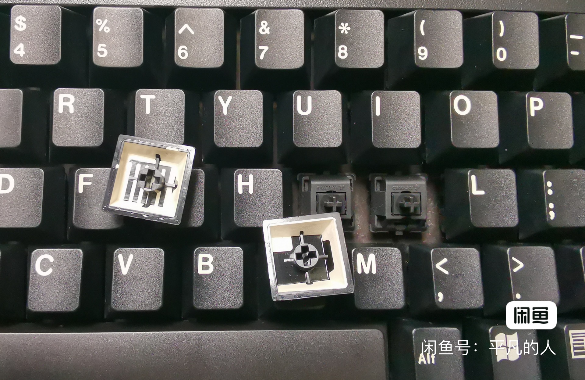 G80-1800 HQMUS