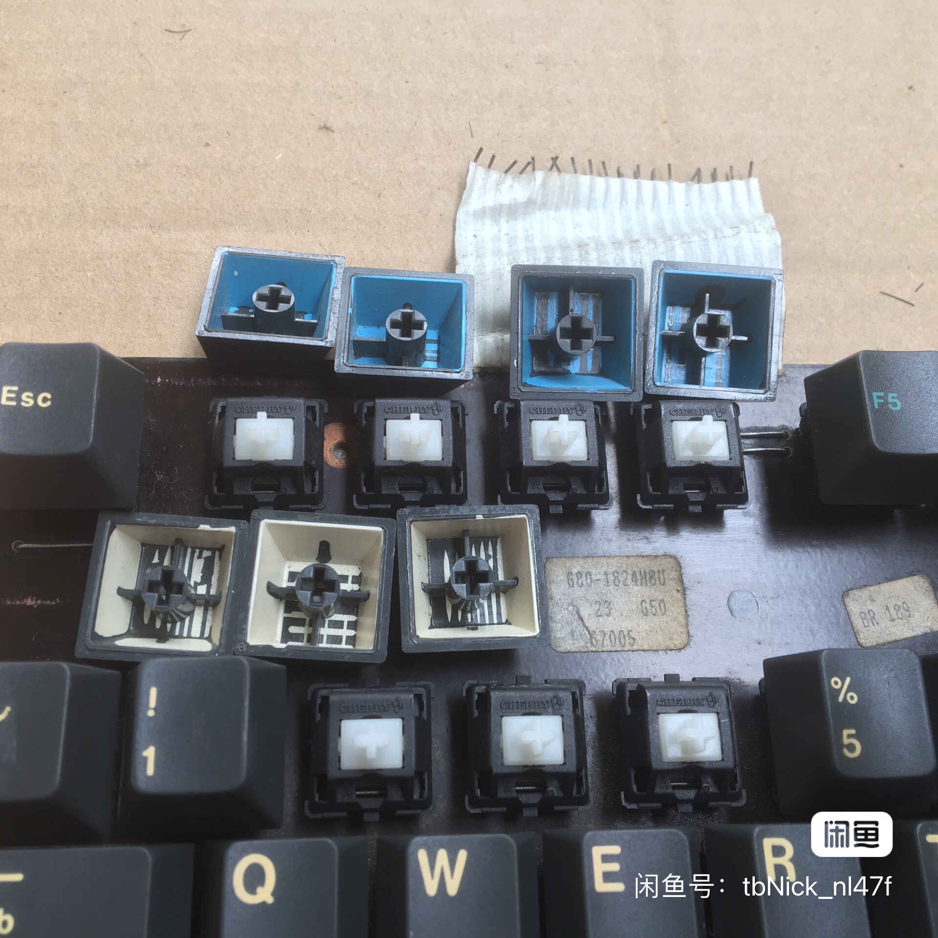 G80-1824 HBU