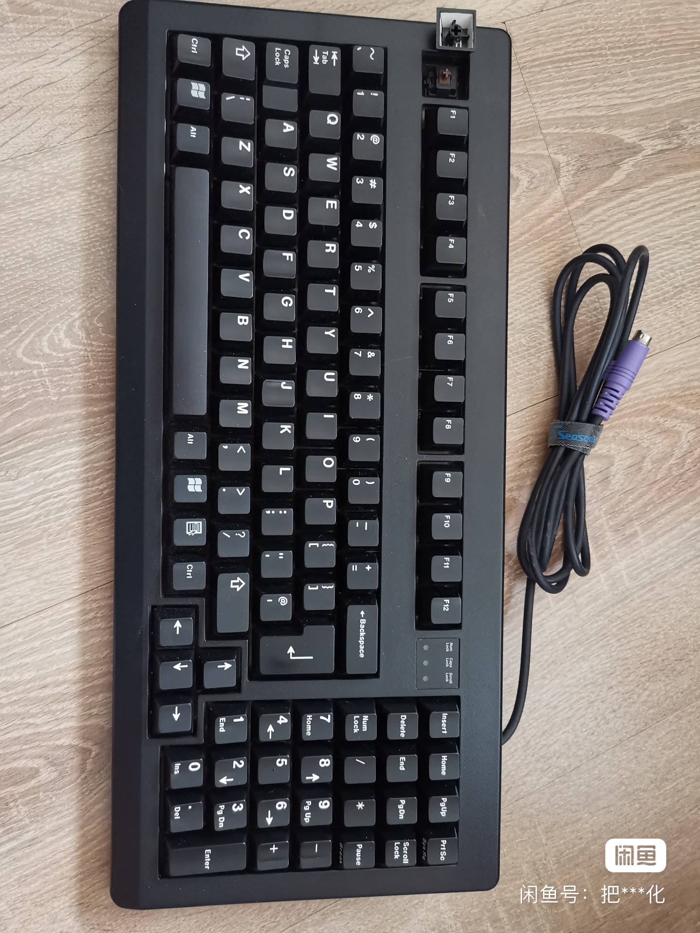 G80-1856