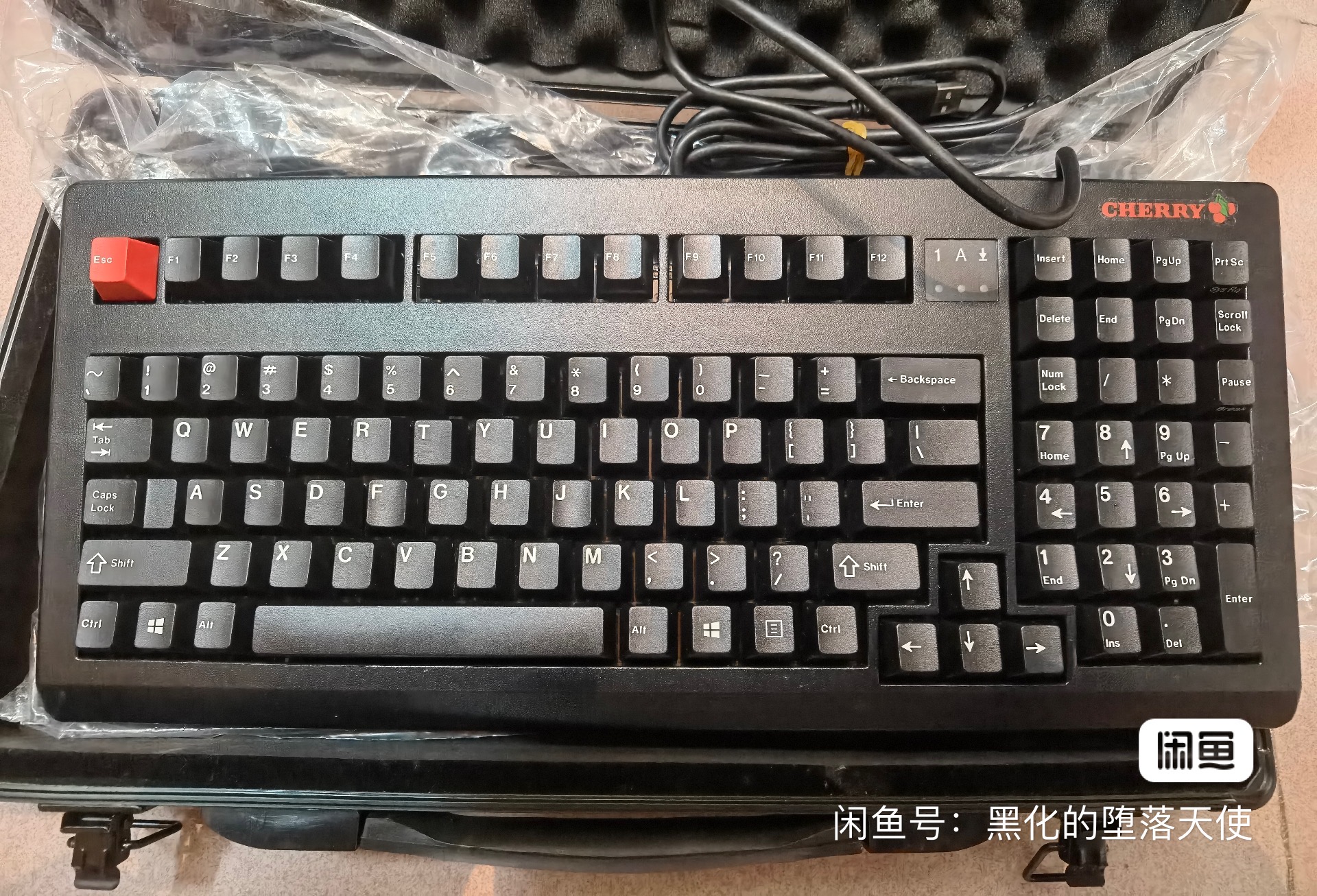 G80-1869