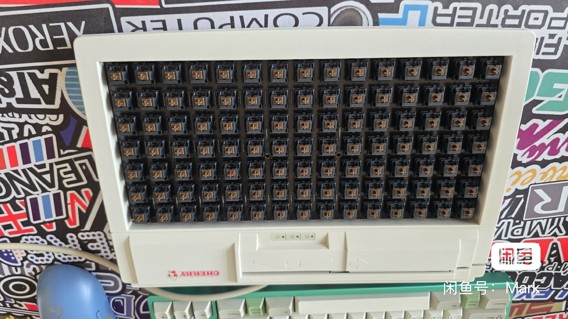 G80-1950 PQAXB