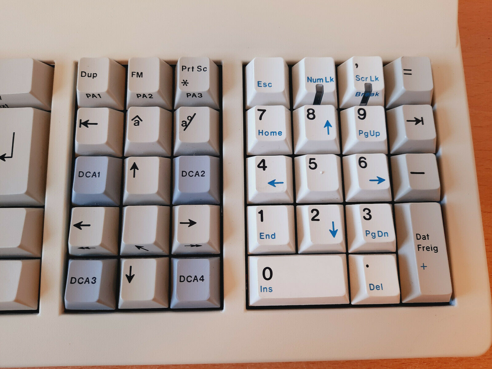 G80-2513 HAU