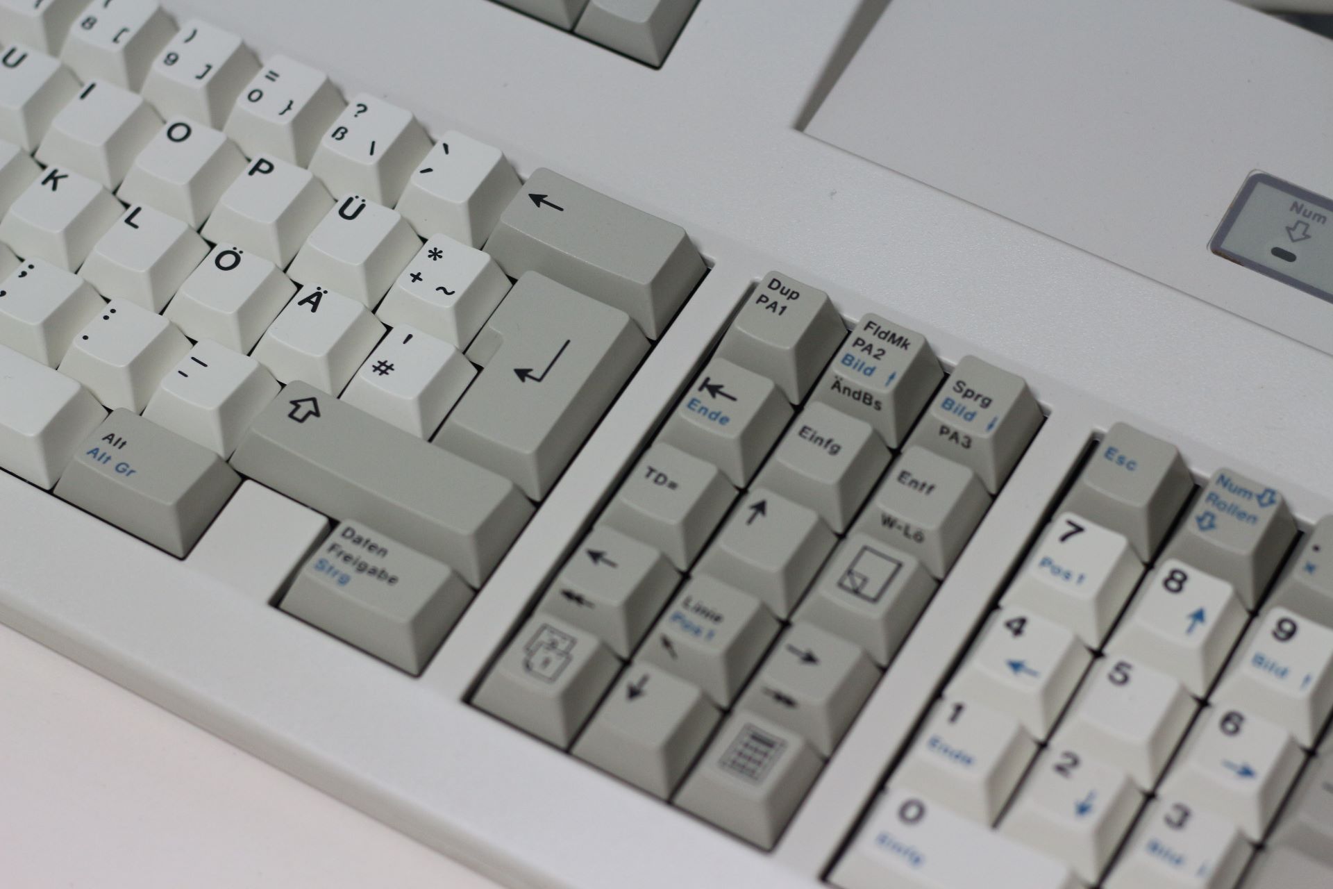 G80-2551 HAD