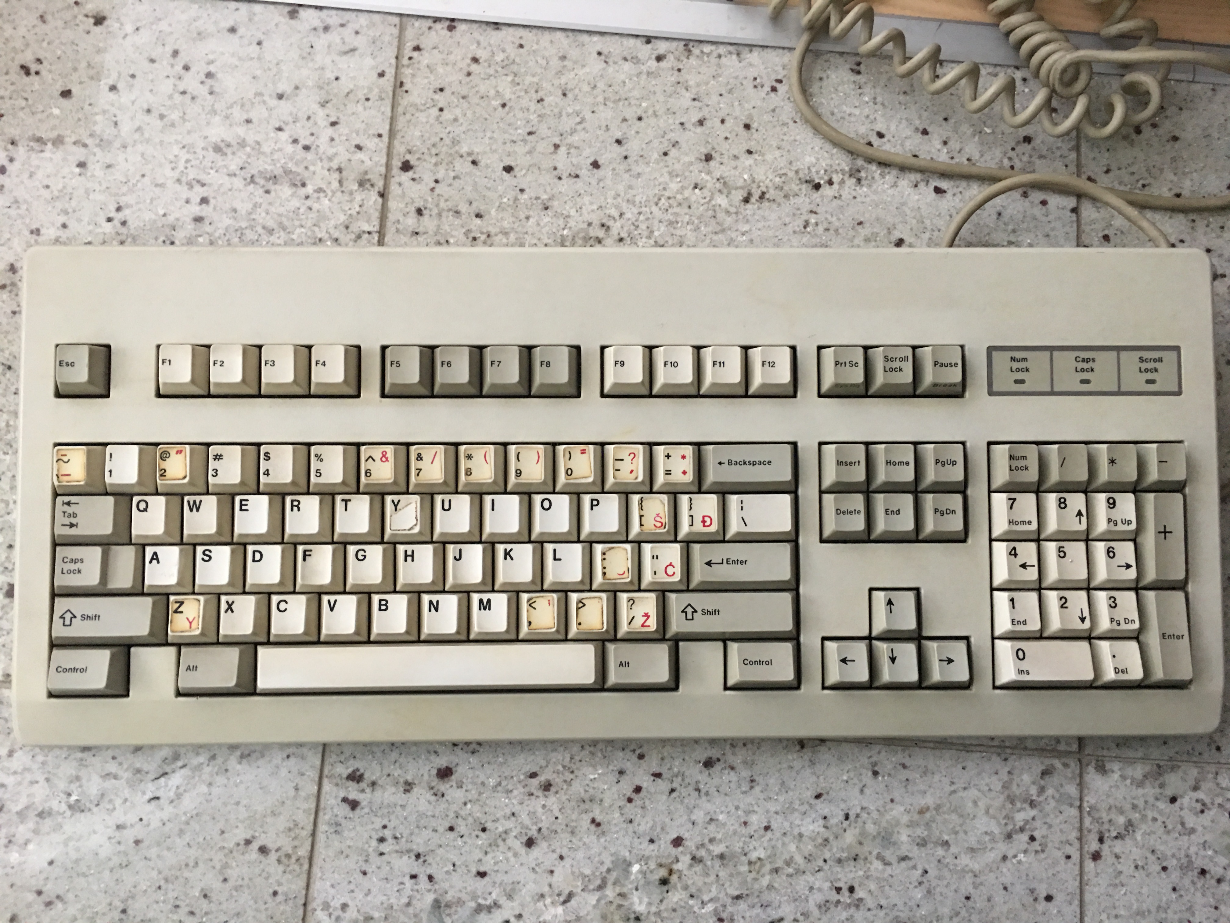 G80-3019
