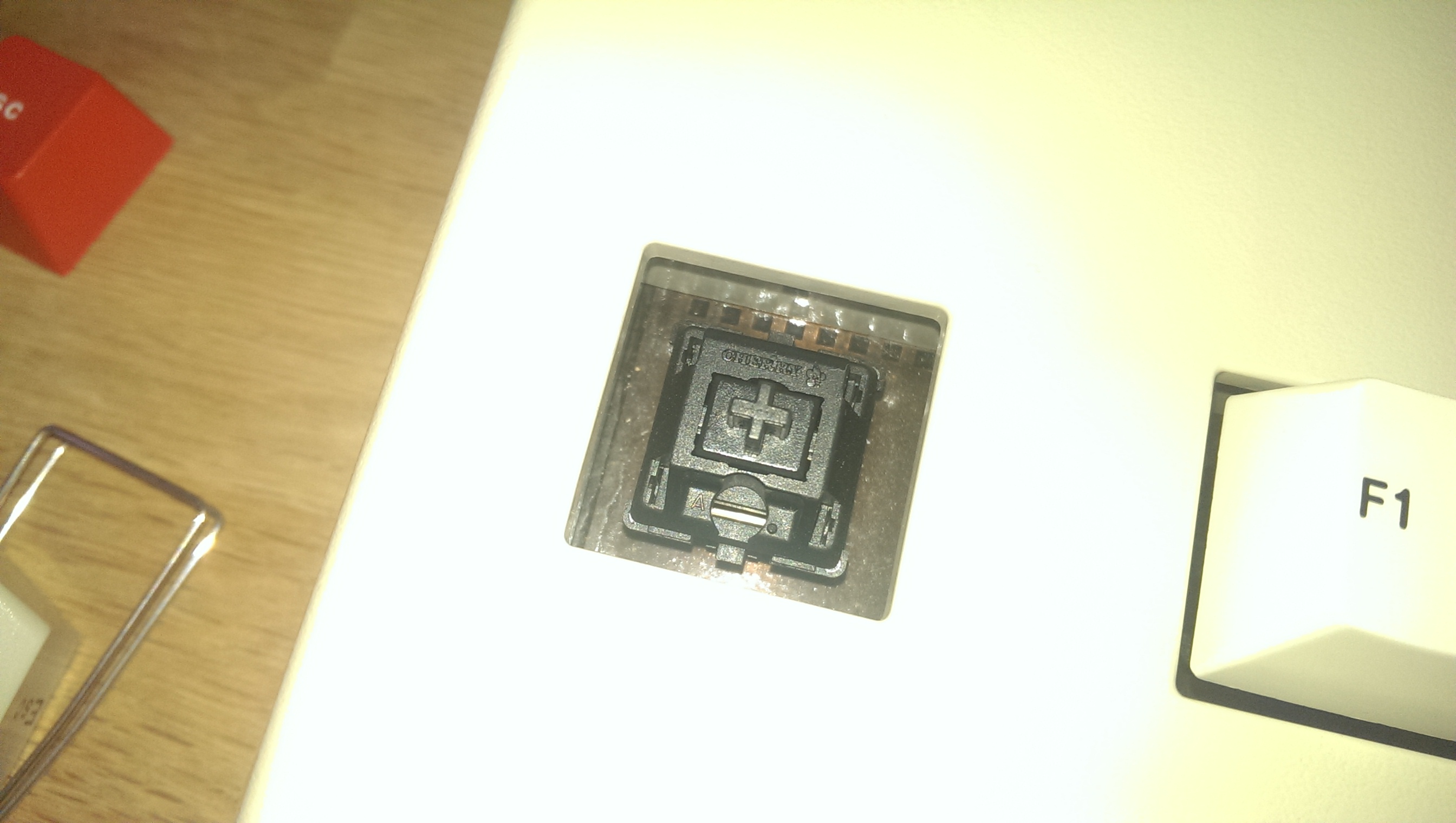 G80-3036 HAC