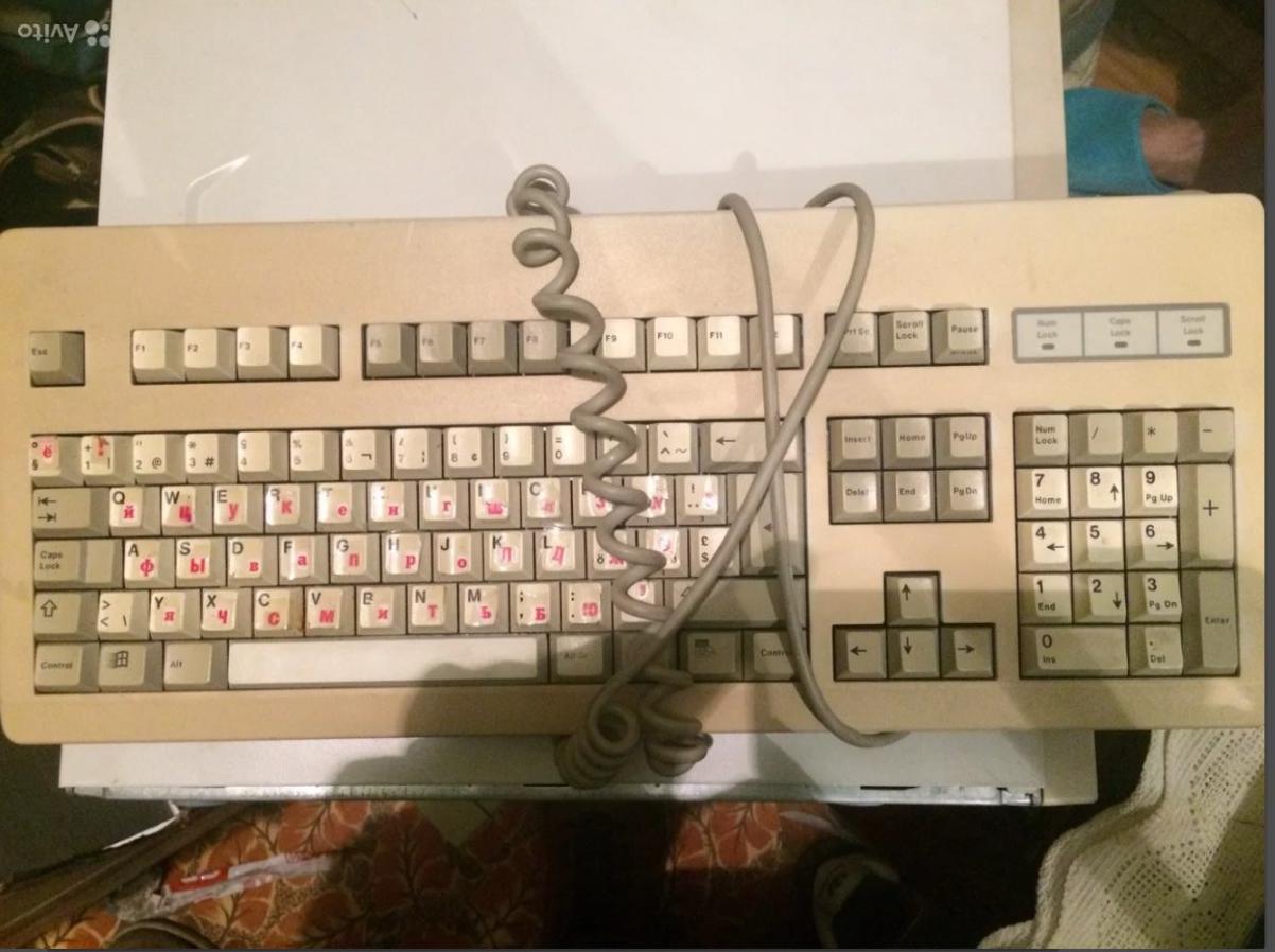 G80-3036 HAMCH