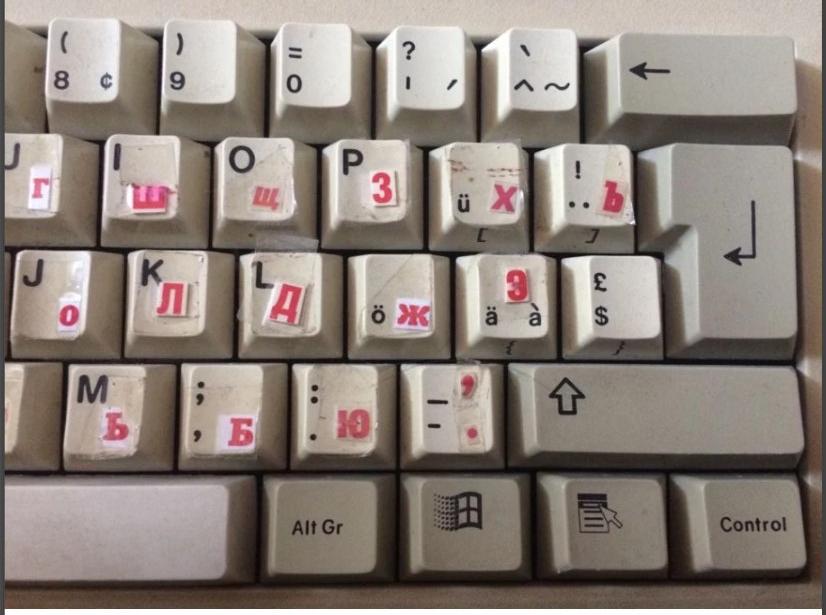 G80-3036 HAMCH