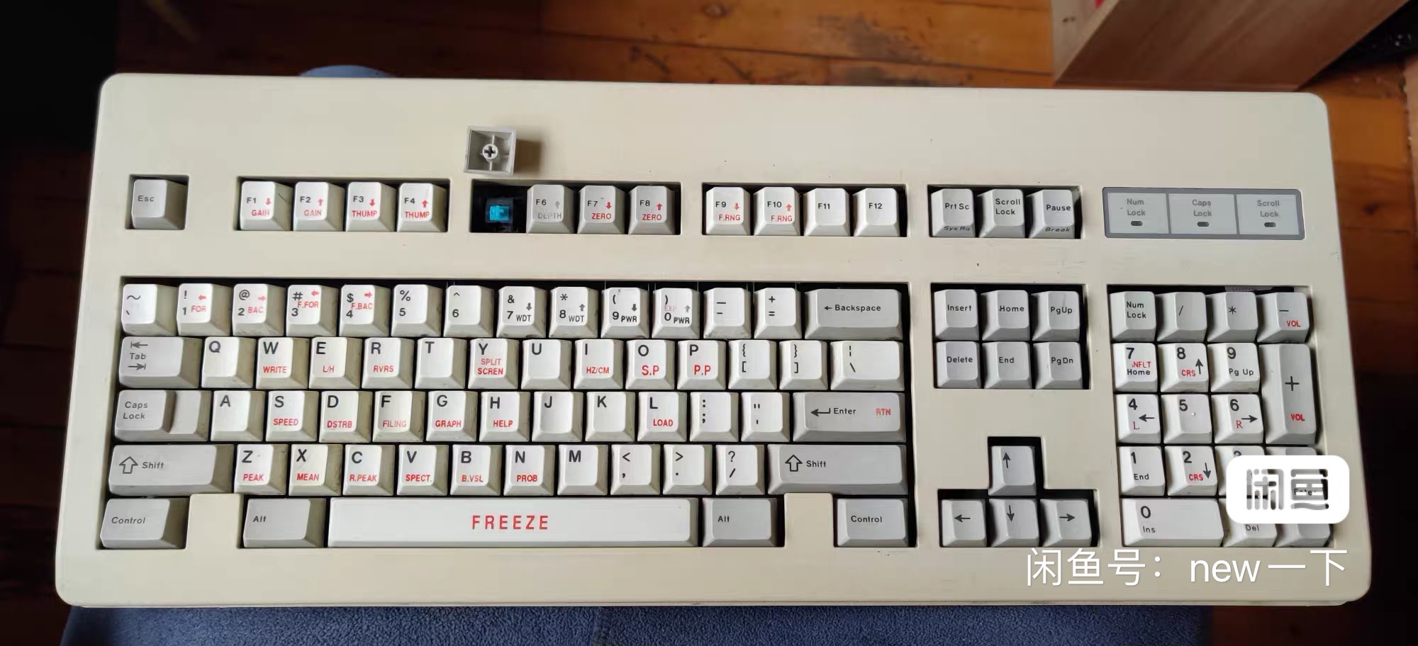 G80-3049 SFH (FREEZE)