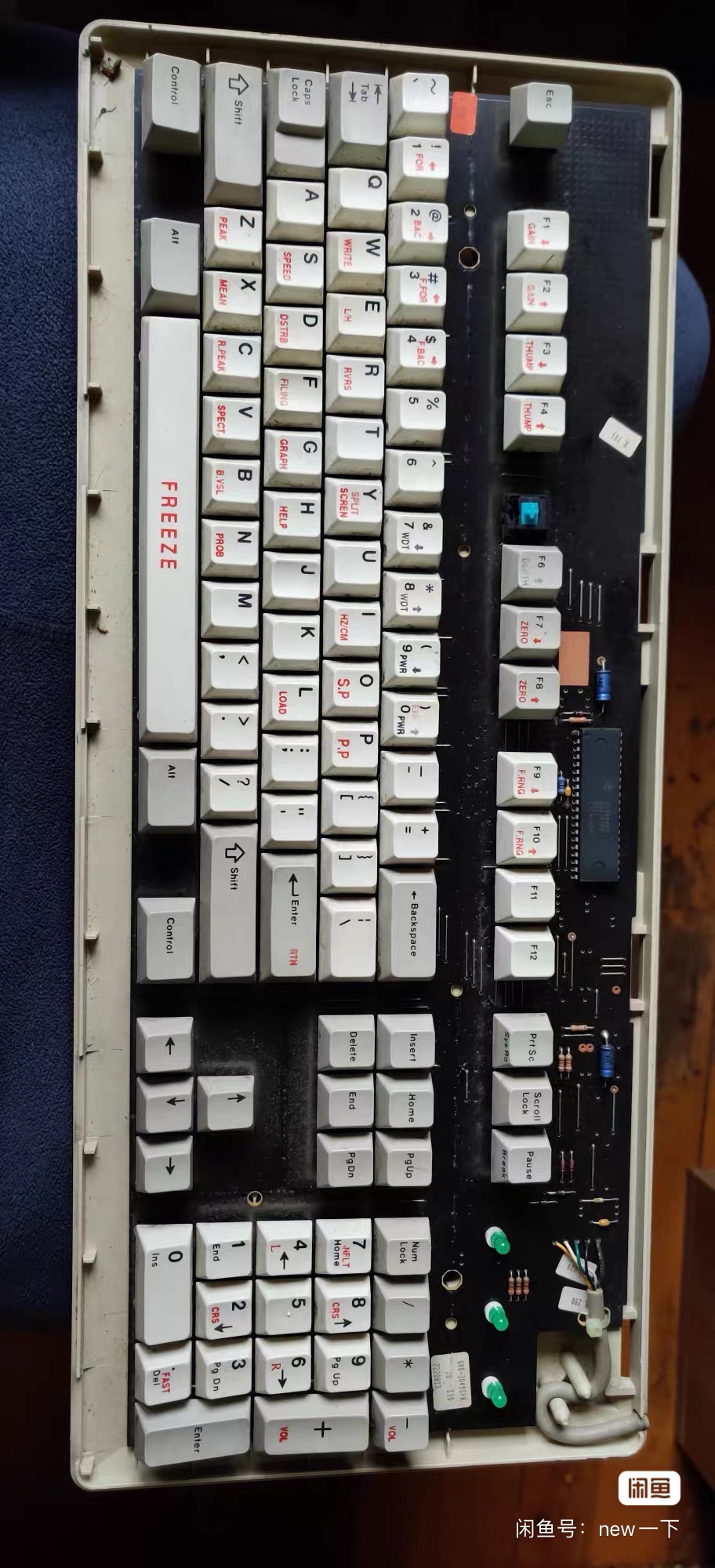 G80-3049 SFH (FREEZE)