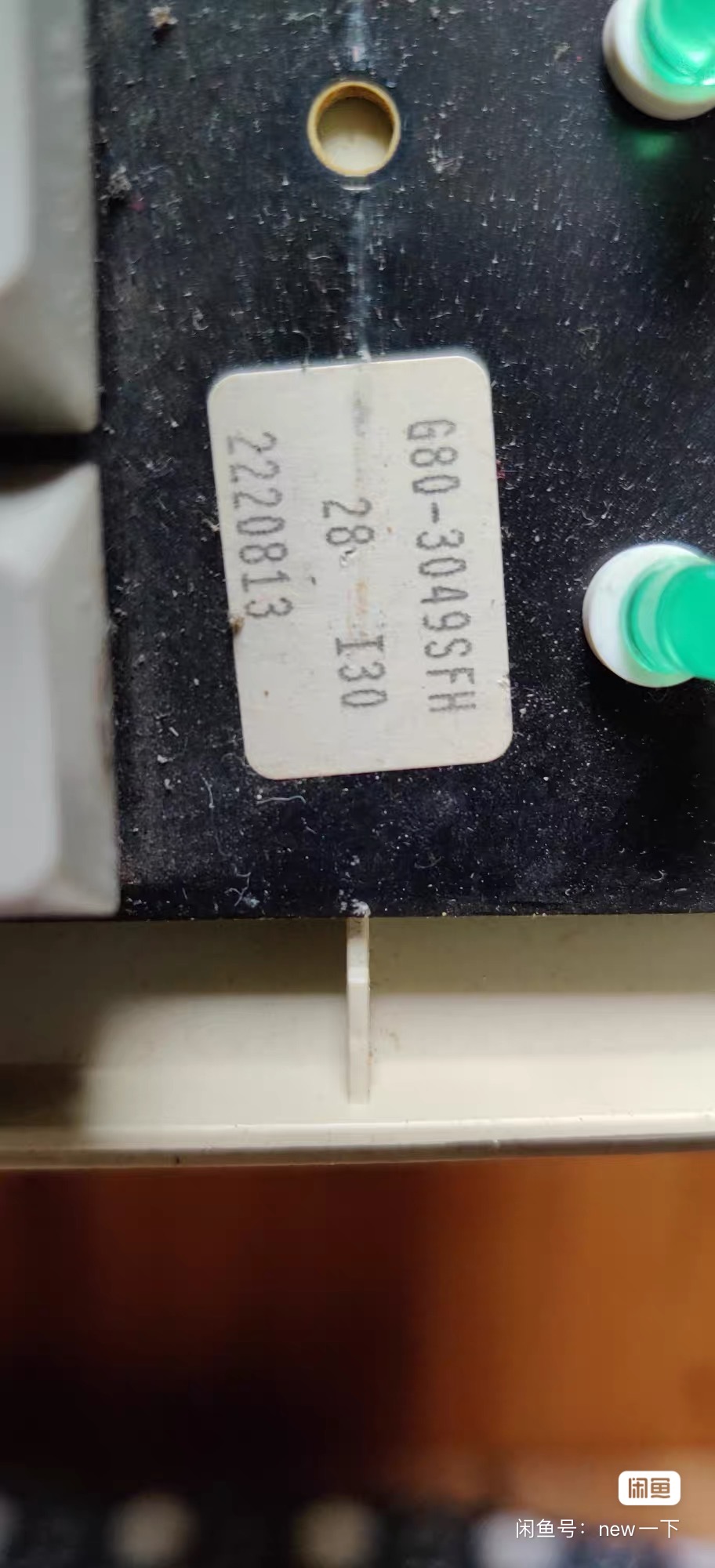 G80-3049 SFH (FREEZE)