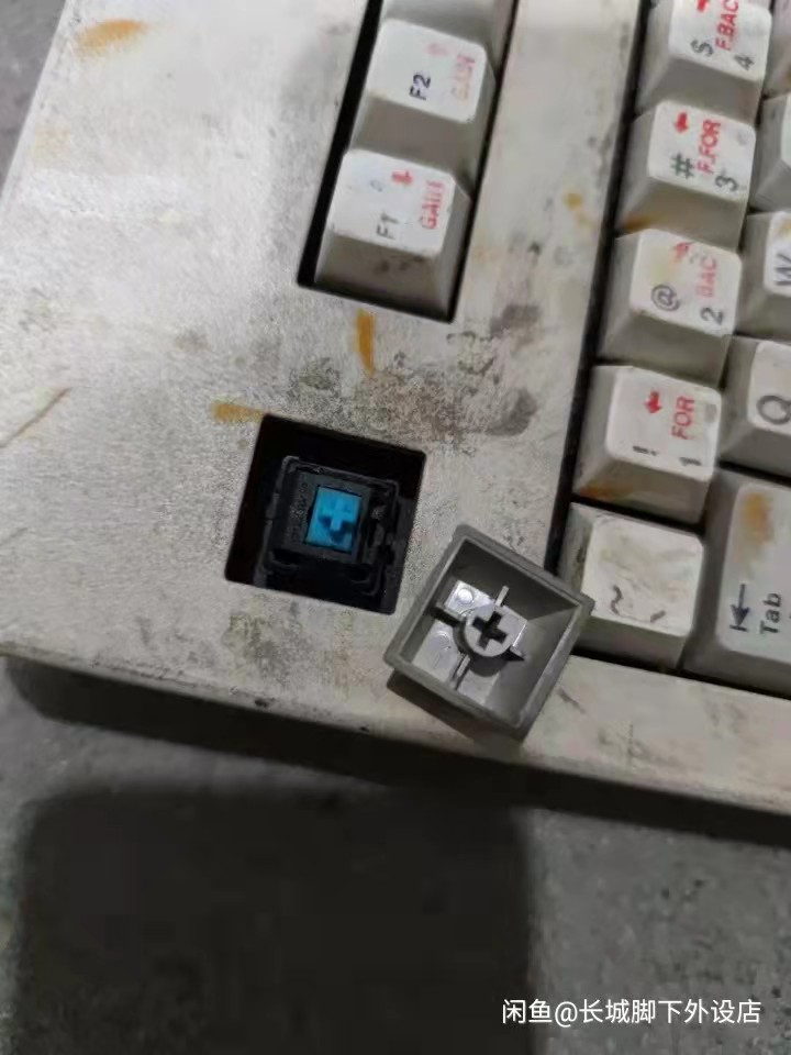 G80-3049 SFH (FREEZE)