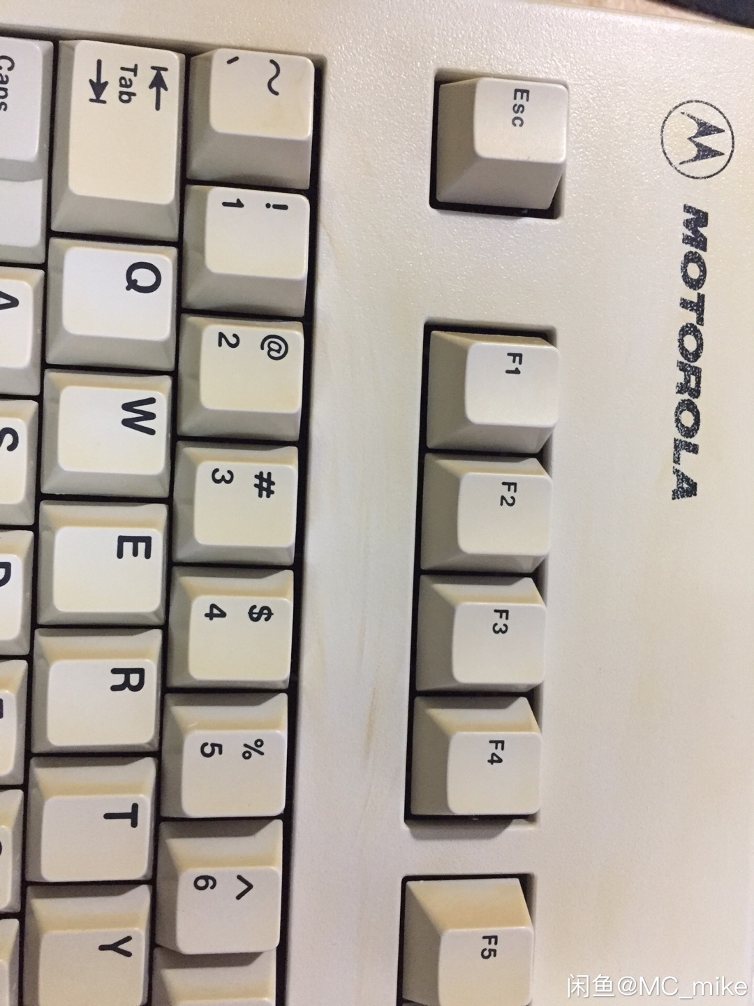 G80-3055 HAU (MOTOROLA)