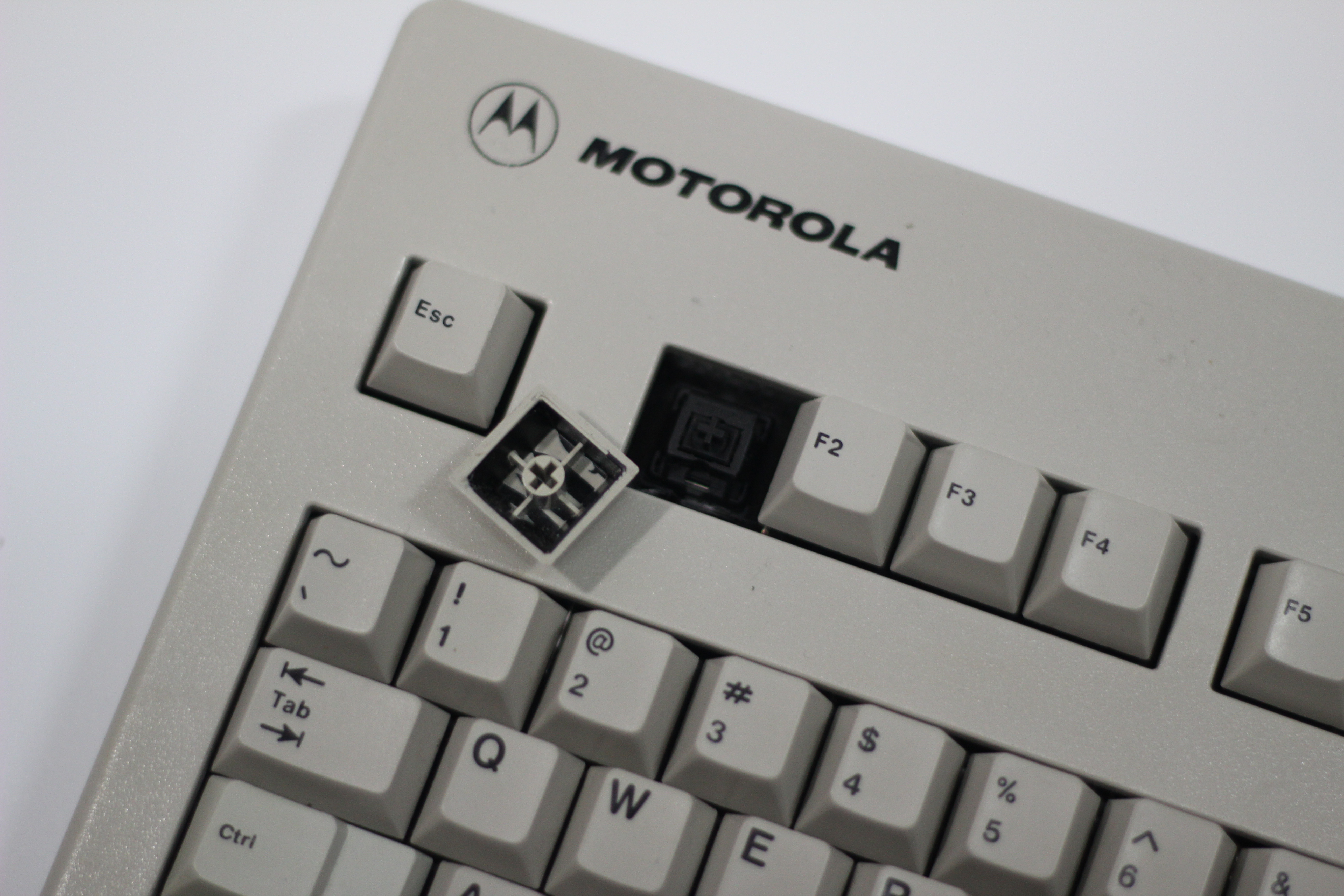 G80-3055 HAU (MOTOROLA)
