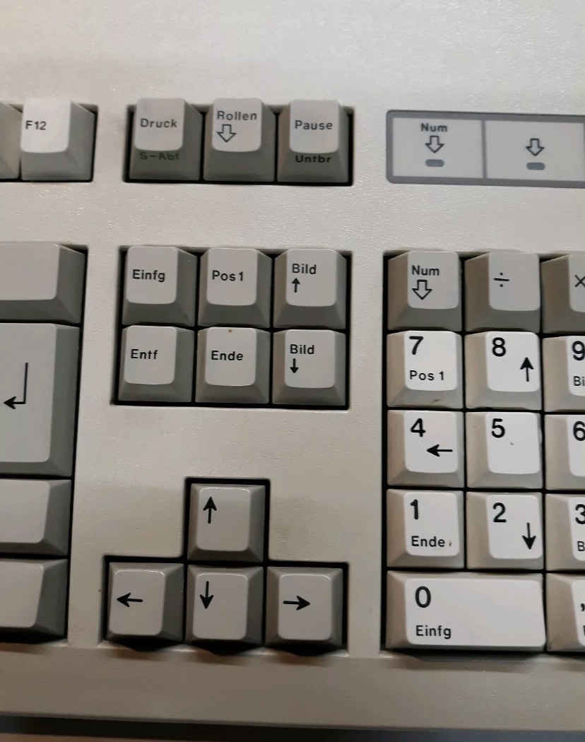 G80-3081 HFD