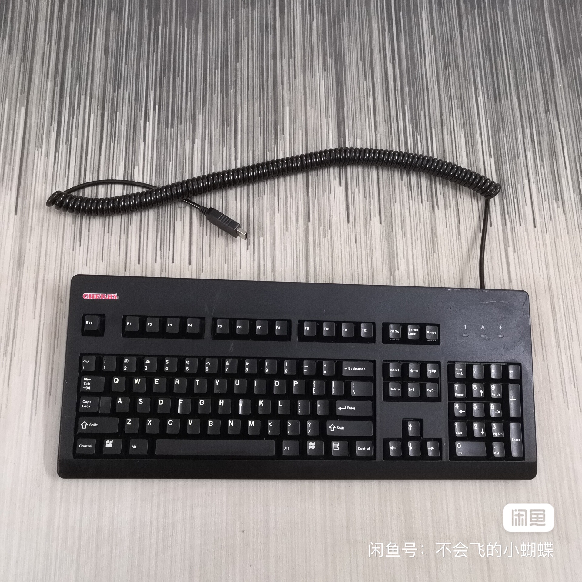 G80-3484