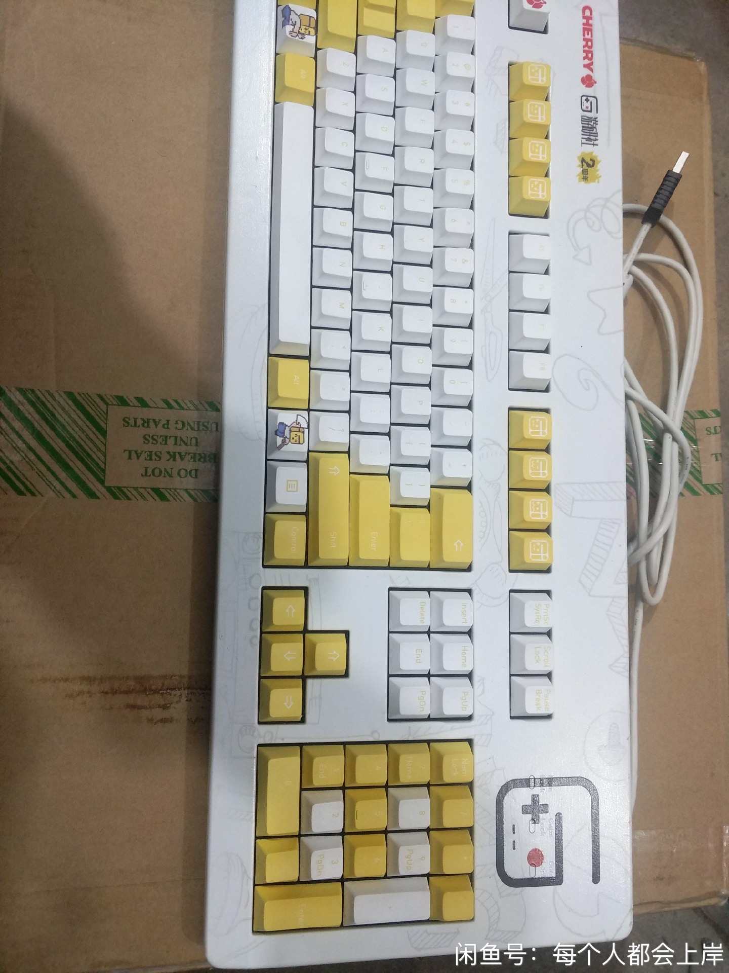 G80-3494 (游研社)