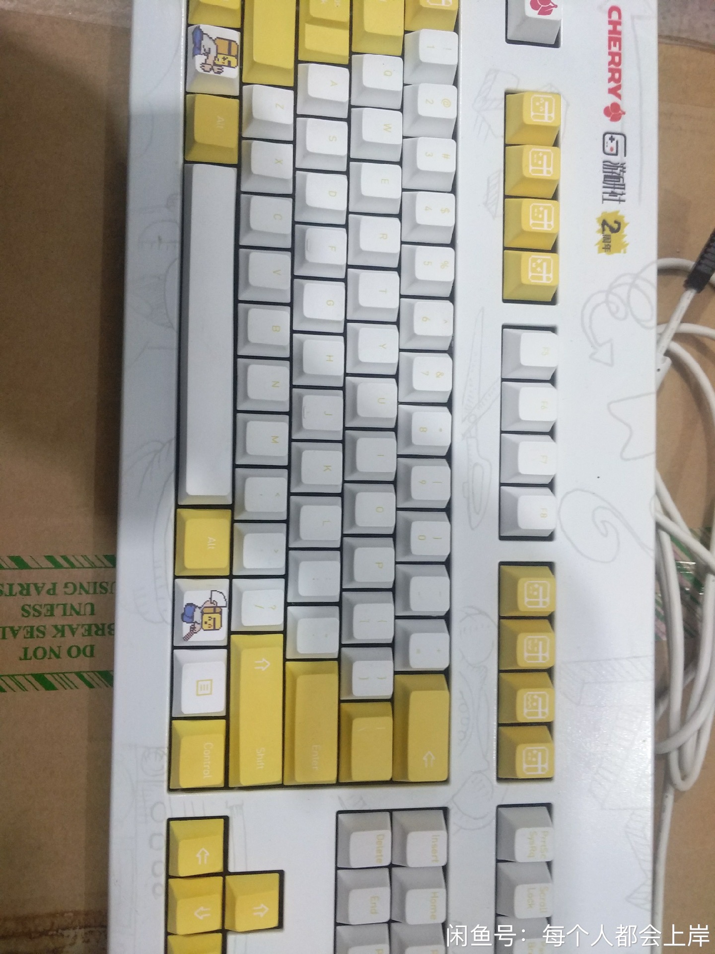 G80-3494 (游研社)