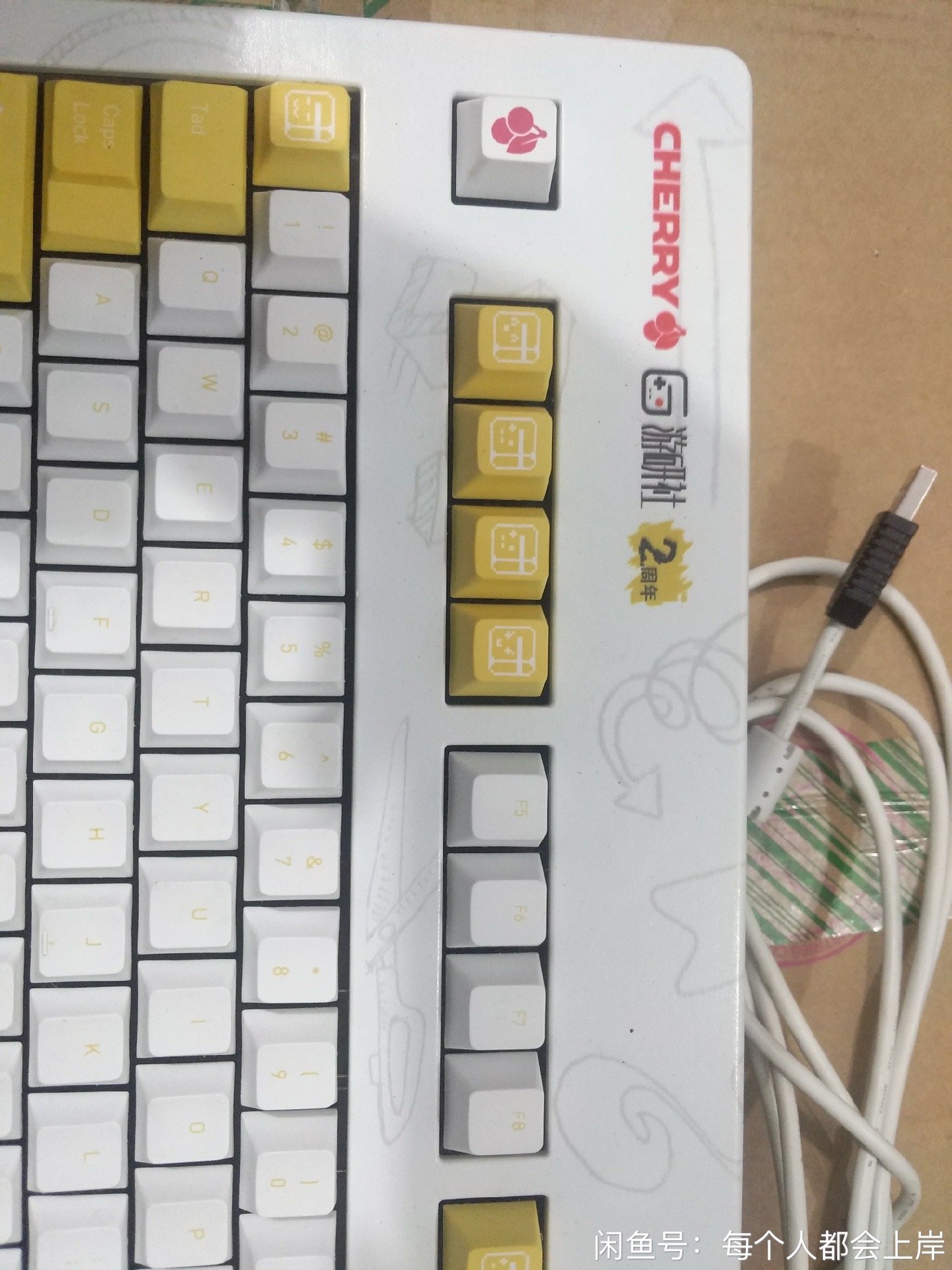 G80-3494 (游研社)