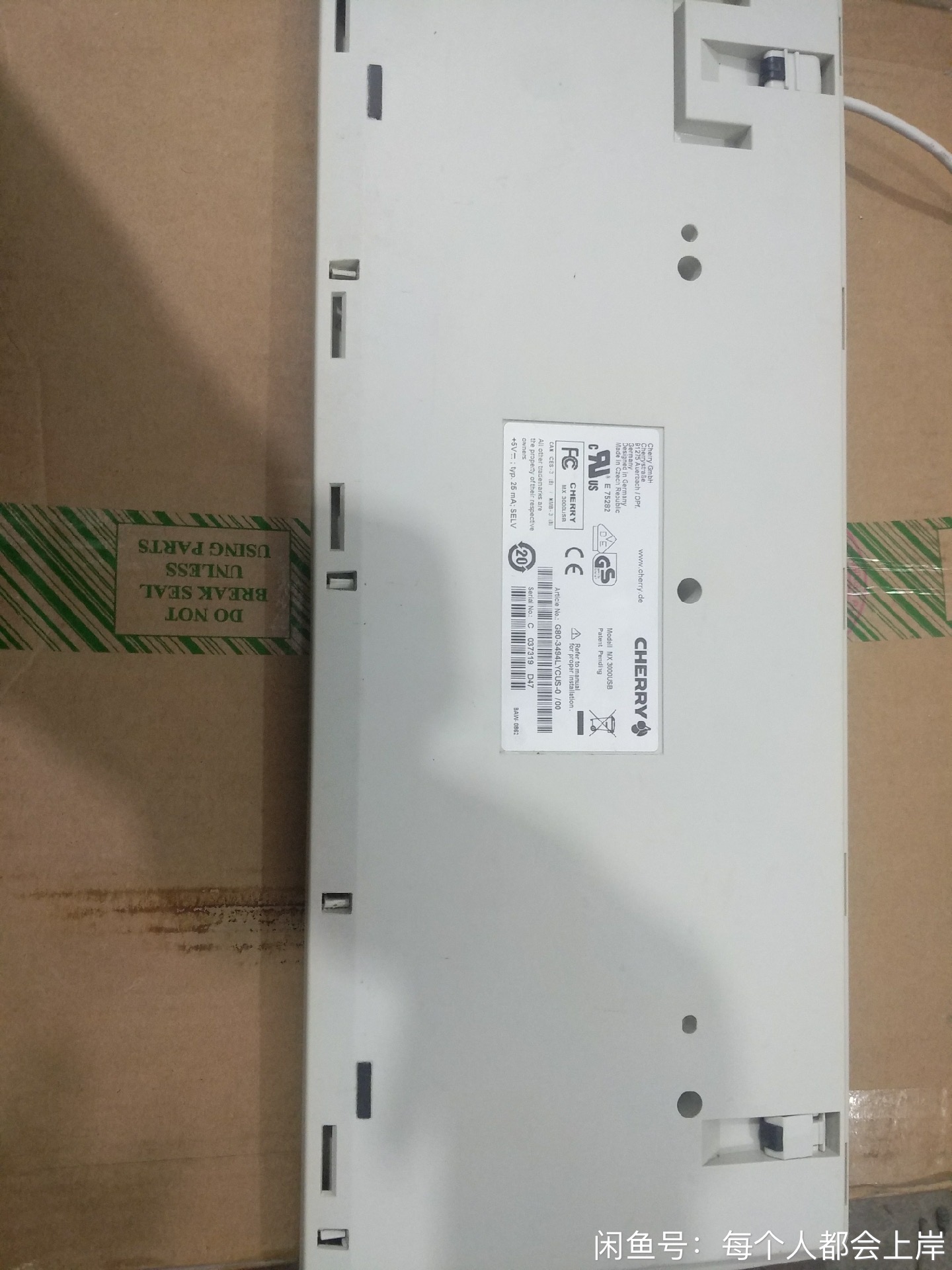 G80-3494 (游研社)